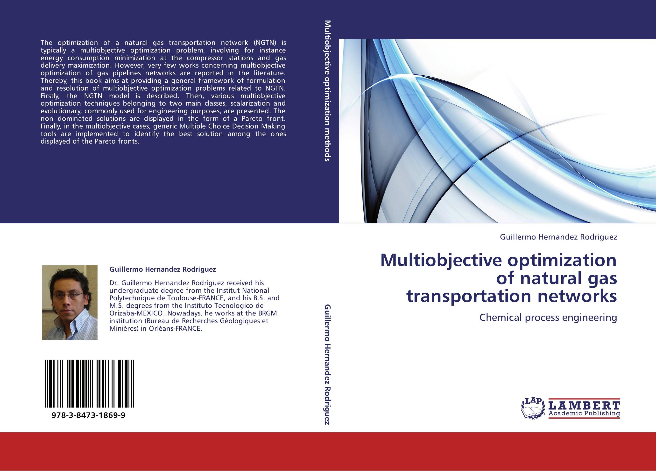 Multiobjective optimization of natural gas transportation networks. Chemical process engineering.