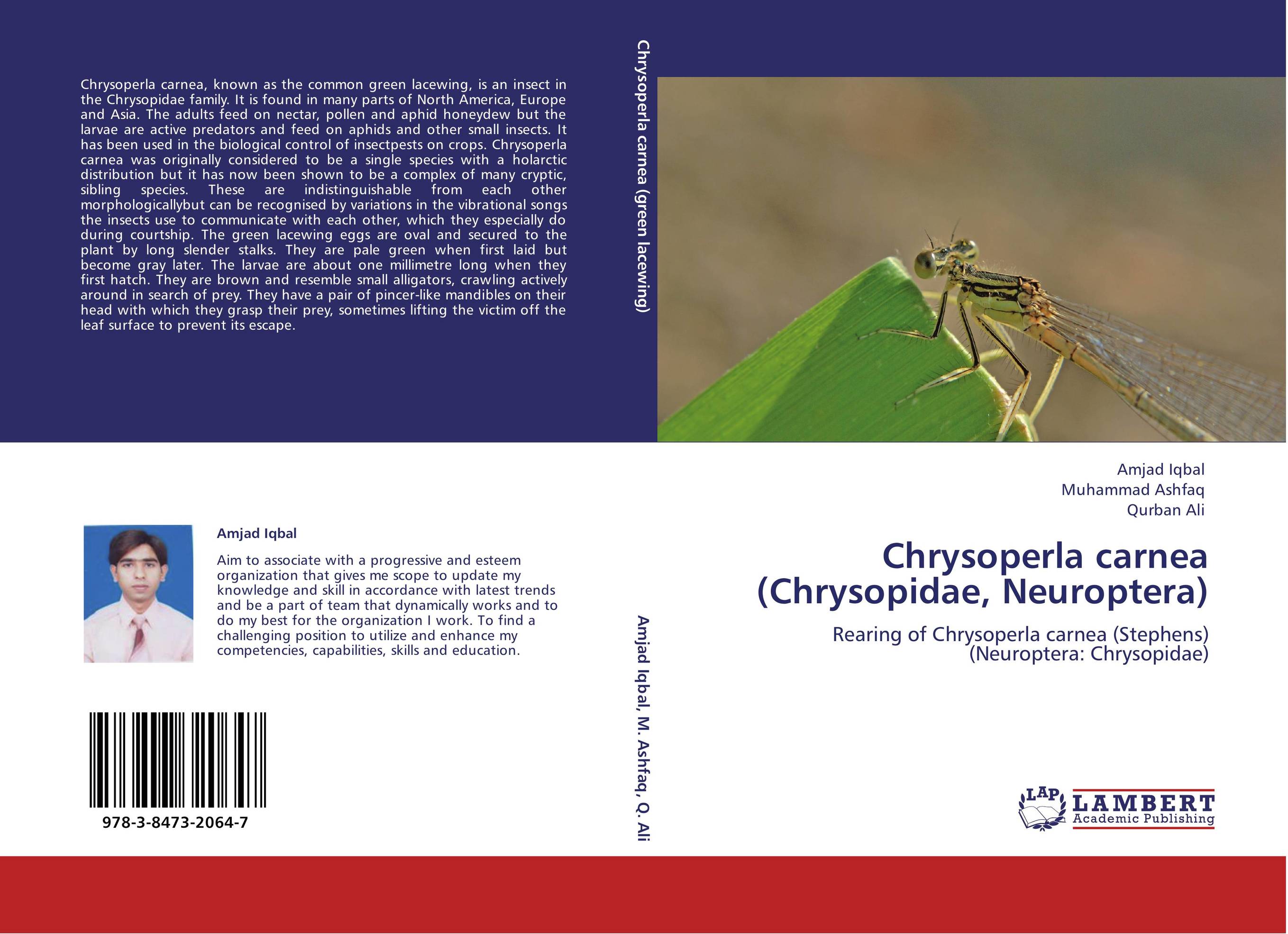 Chrysoperla carnea (Chrysopidae, Neuroptera). Rearing of Chrysoperla carnea  (Stephens) (Neuroptera: Chrysopidae).