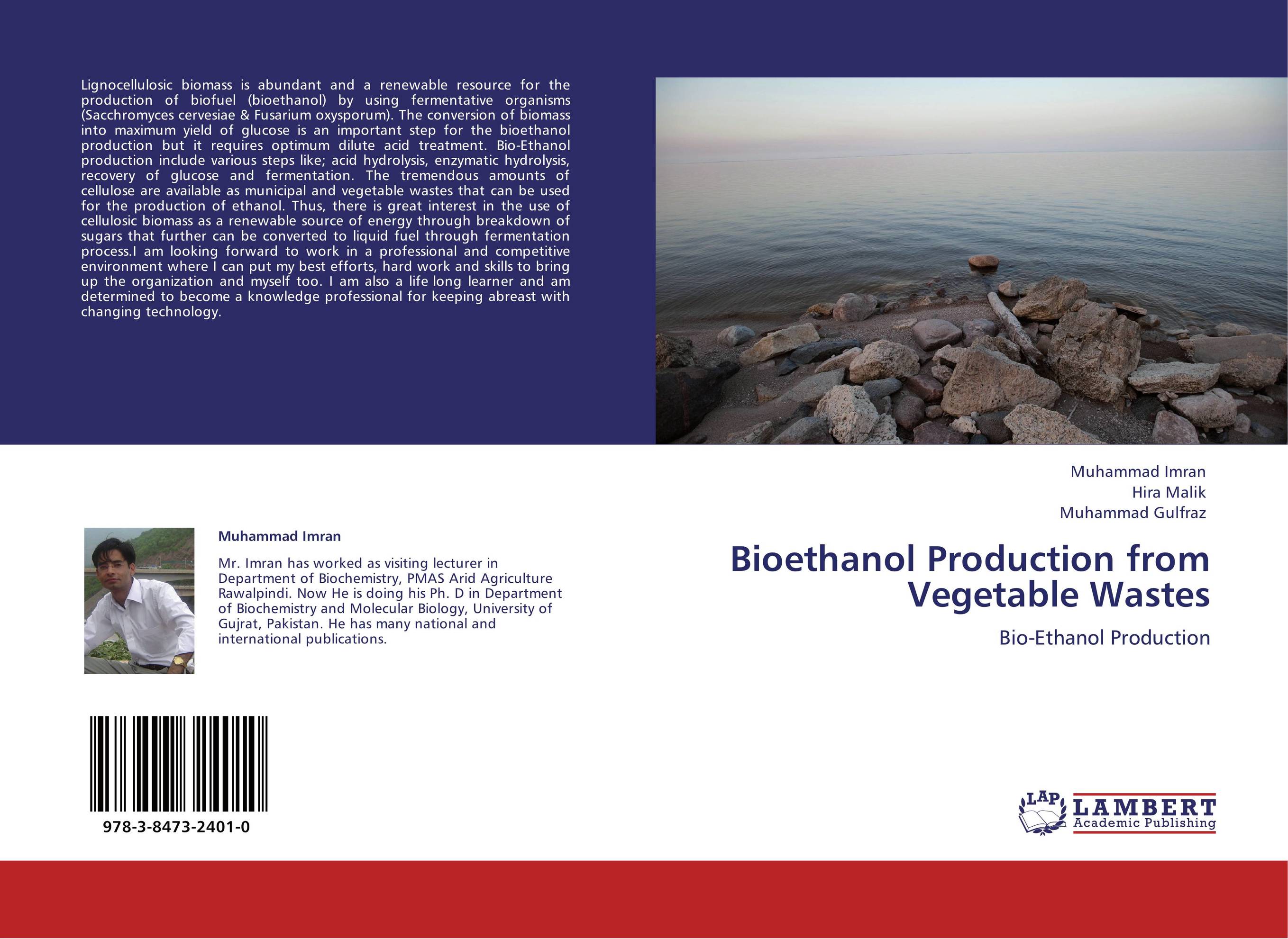 Bioethanol Production from Vegetable Wastes. Bio-Ethanol Production.