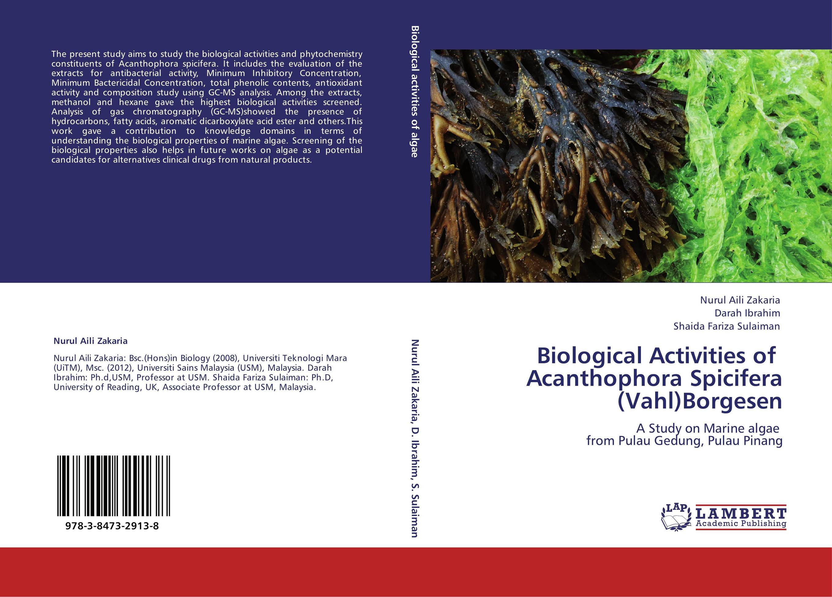 Biological Activities of   Acanthophora Spicifera  (Vahl)Borgesen. A Study on Marine algae   from Pulau Gedung, Pulau Pinang.