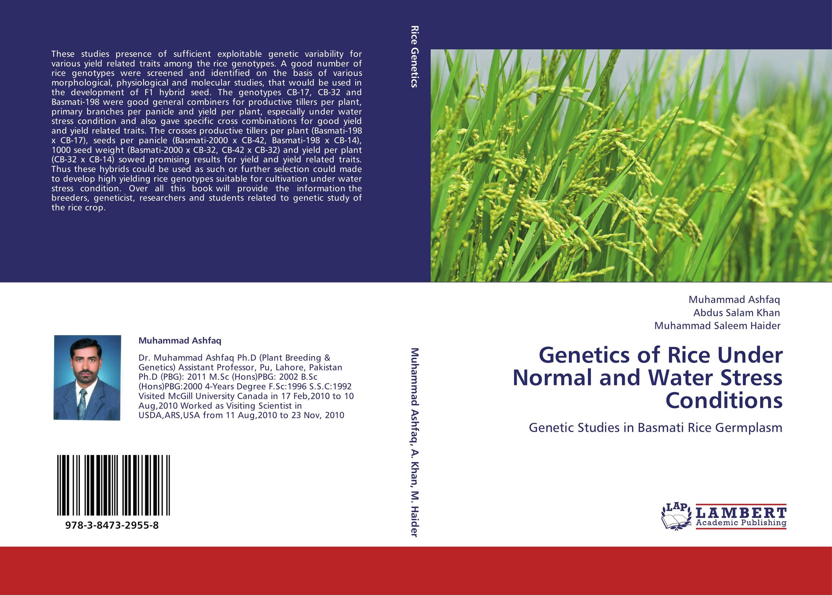 Genetics of Rice Under Normal and Water Stress Conditions. Genetic Studies in Basmati Rice Germplasm.