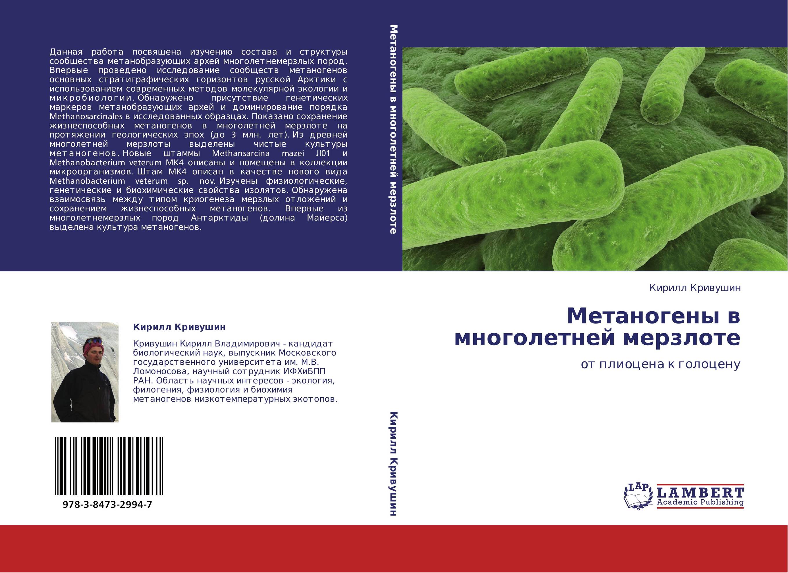 Метаногены. Bacillus pumilus. Bacillus pumilus описание и фото. Bacillus megaterium.