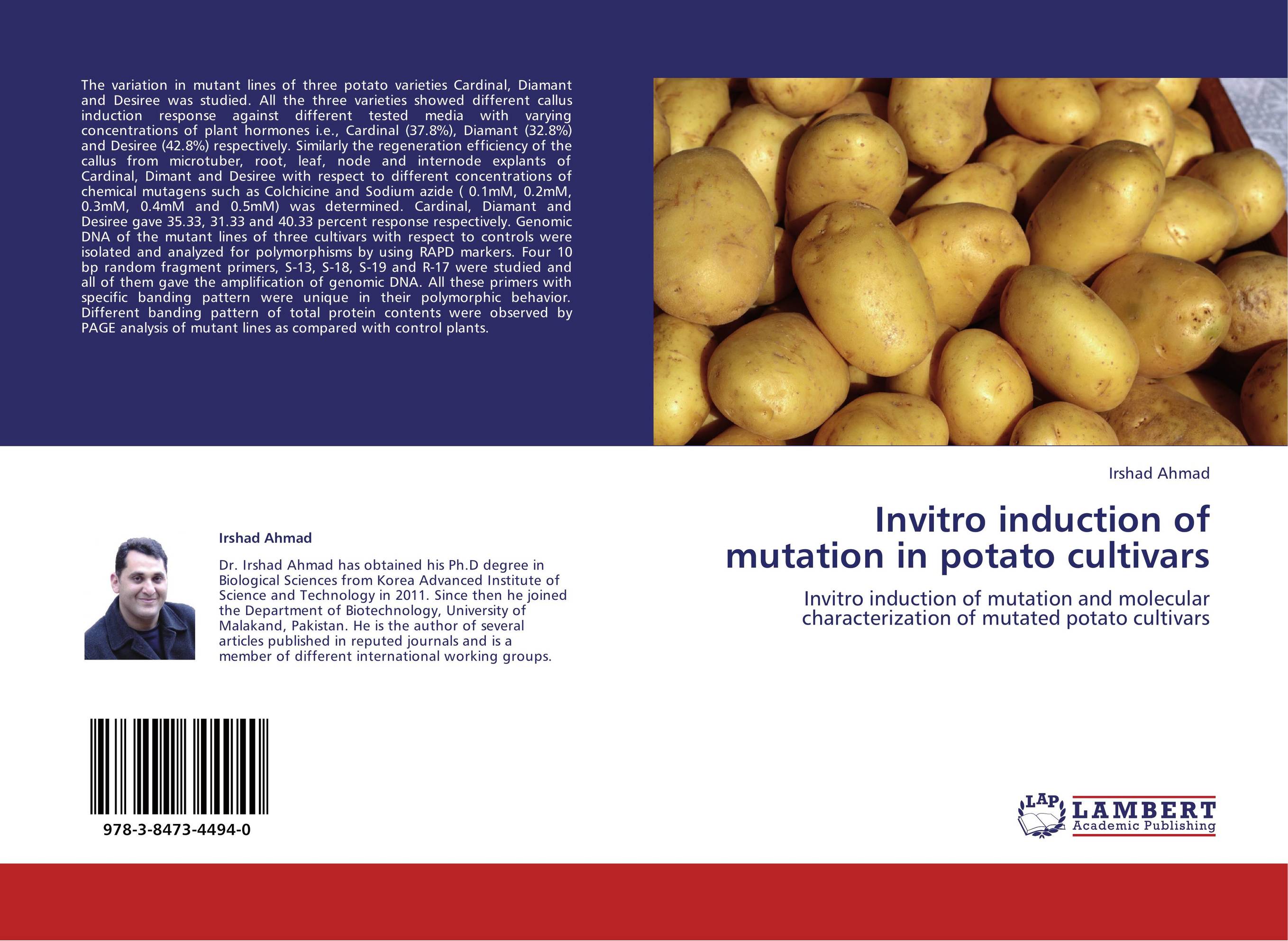Invitro induction of mutation in potato cultivars. Invitro induction of mutation and molecular characterization of mutated potato cultivars.