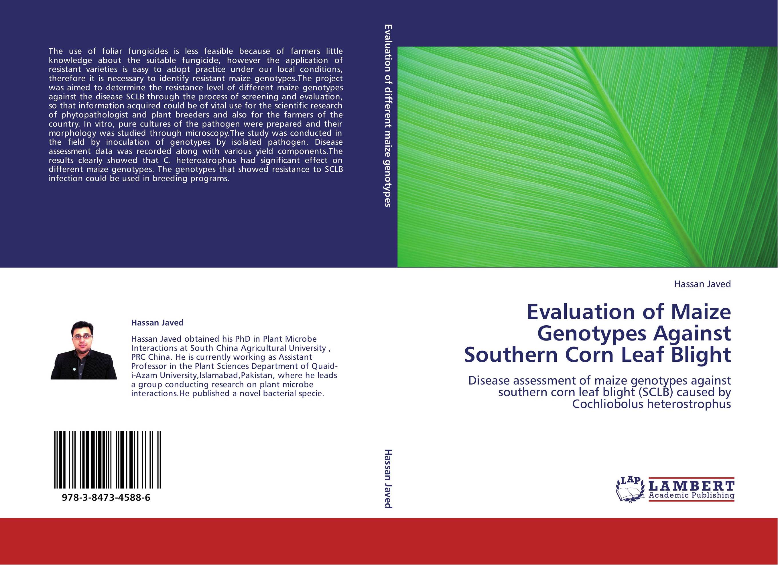 Evaluation of Maize Genotypes Against Southern Corn Leaf Blight. Disease assessment of maize genotypes against southern corn leaf blight (SCLB) caused by Cochliobolus heterostrophus.