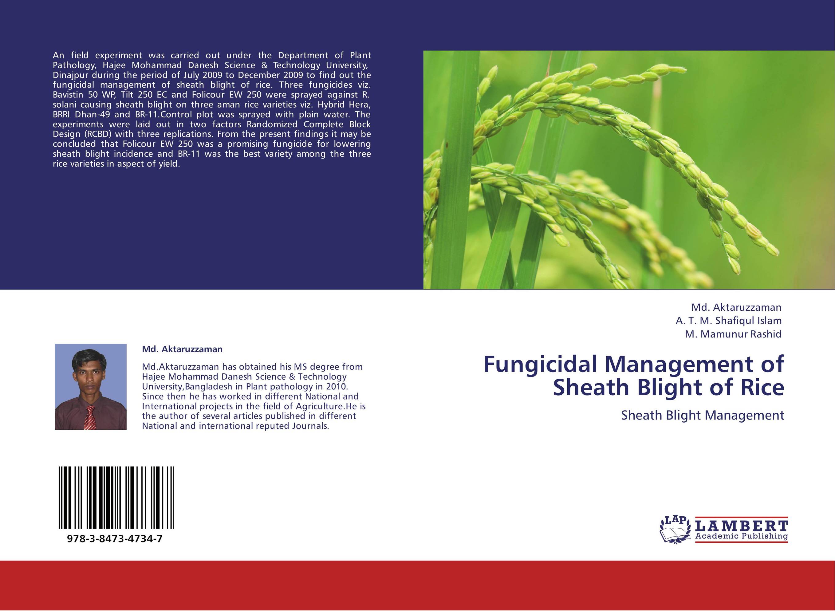 Fungicidal Management of Sheath Blight of Rice. Sheath Blight Management.