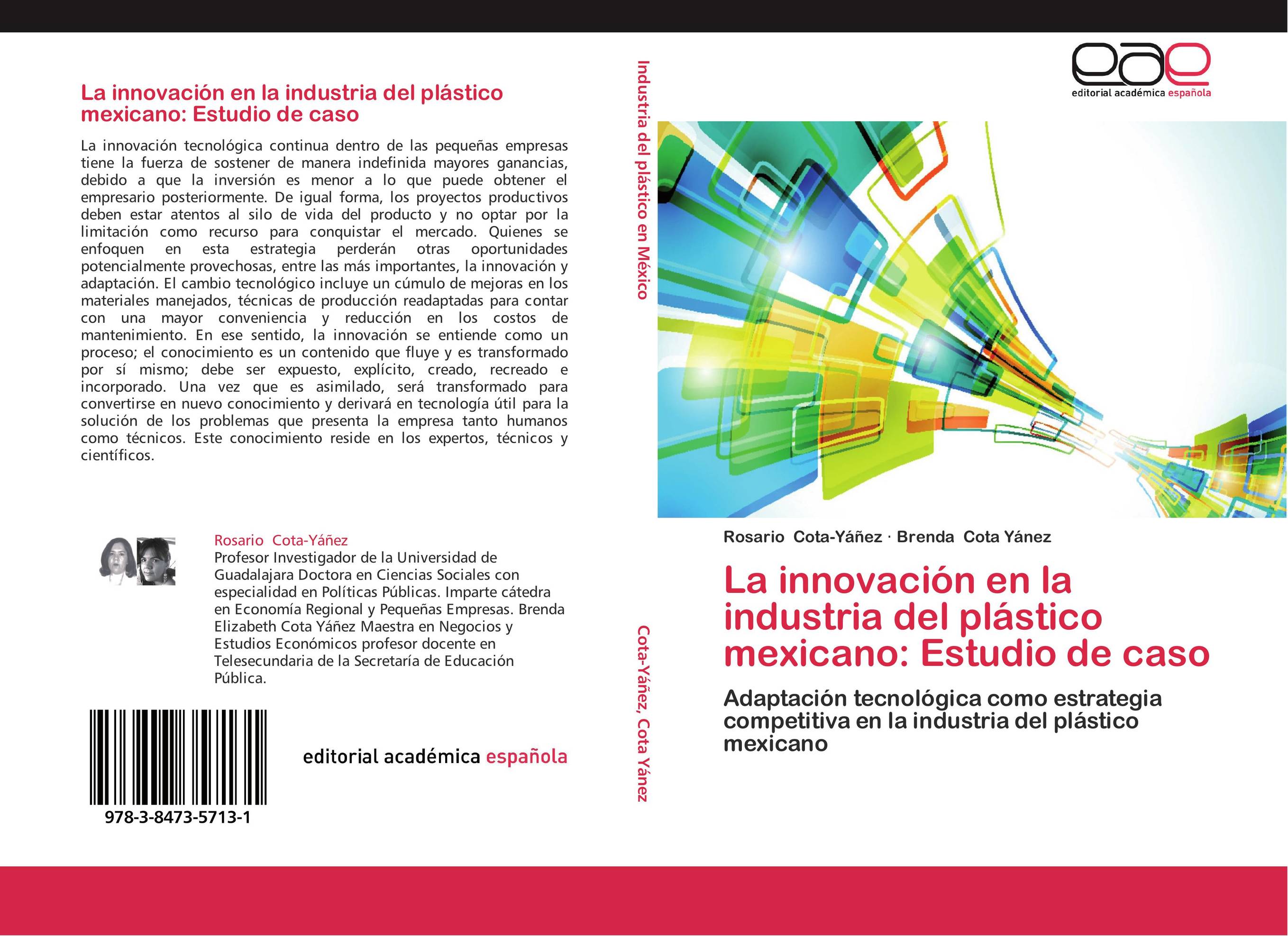 La innovación en la industria del plástico mexicano: Estudio de caso