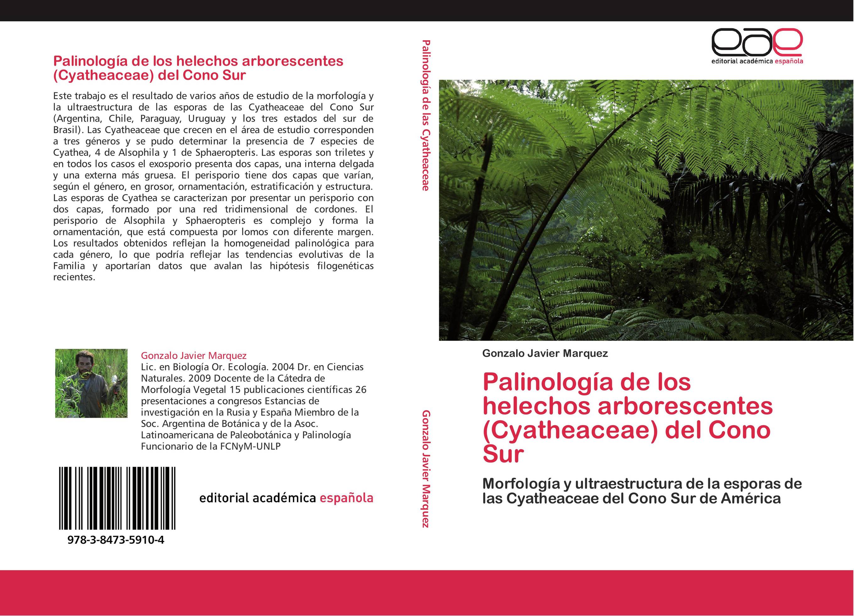 Palinología de los helechos arborescentes (Cyatheaceae) del Cono Sur