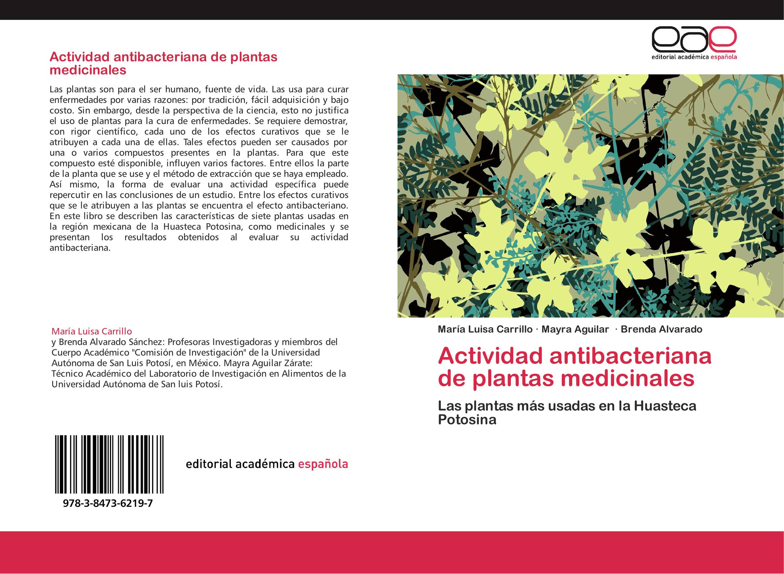 Actividad antibacteriana de plantas medicinales