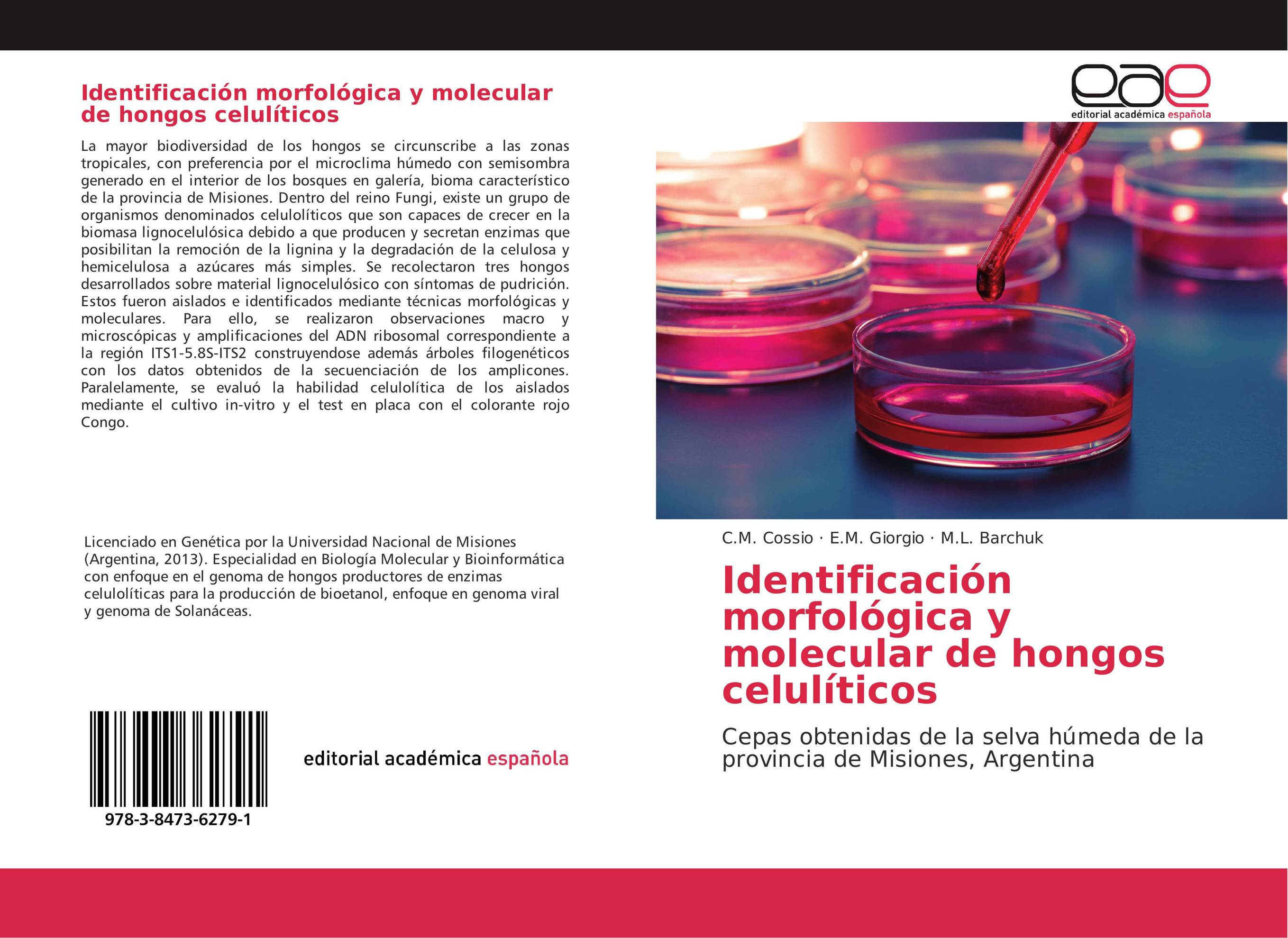 Identificación morfológica y molecular de hongos celulíticos