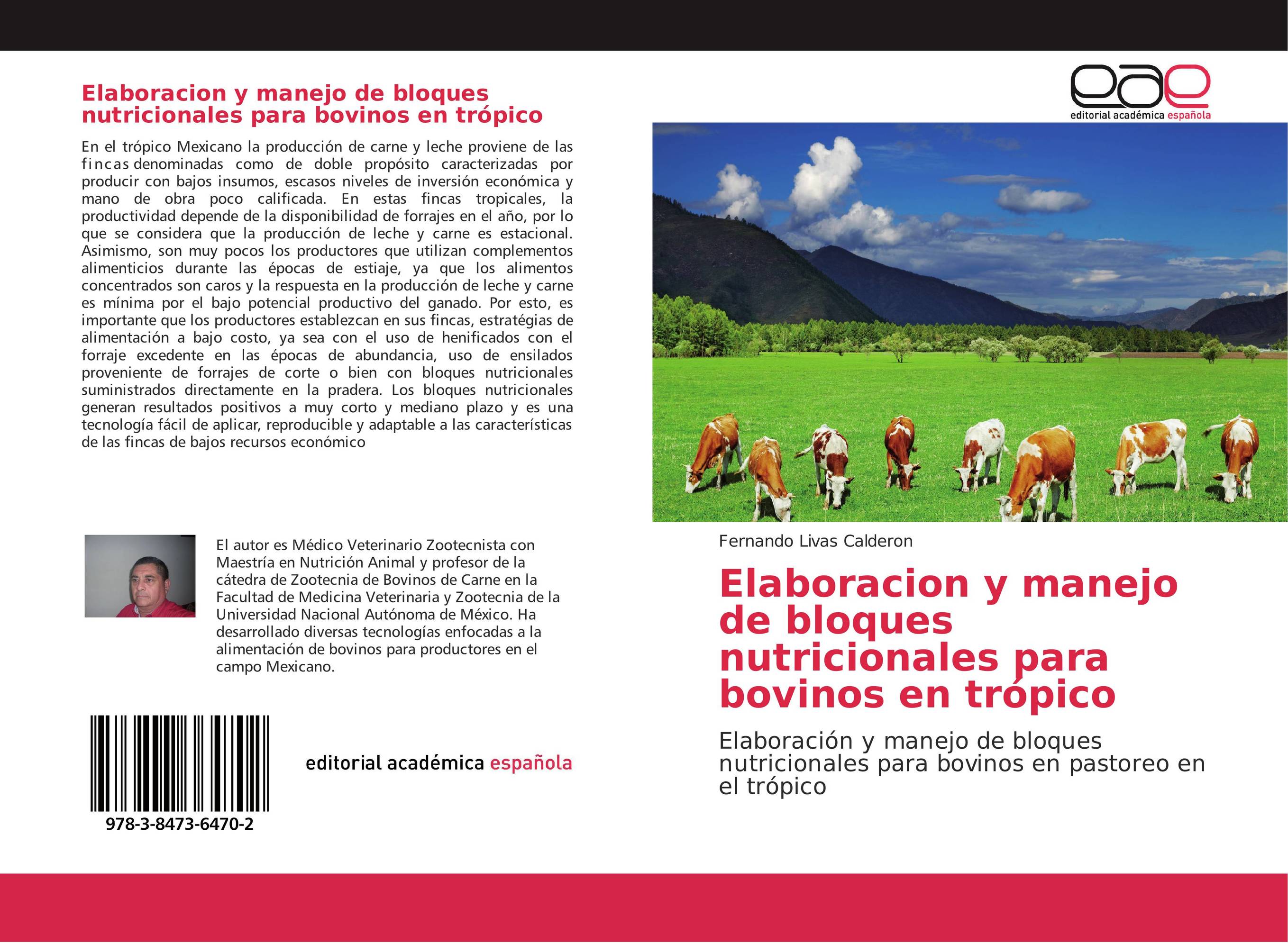 Elaboracion y manejo de bloques nutricionales para bovinos en trópico