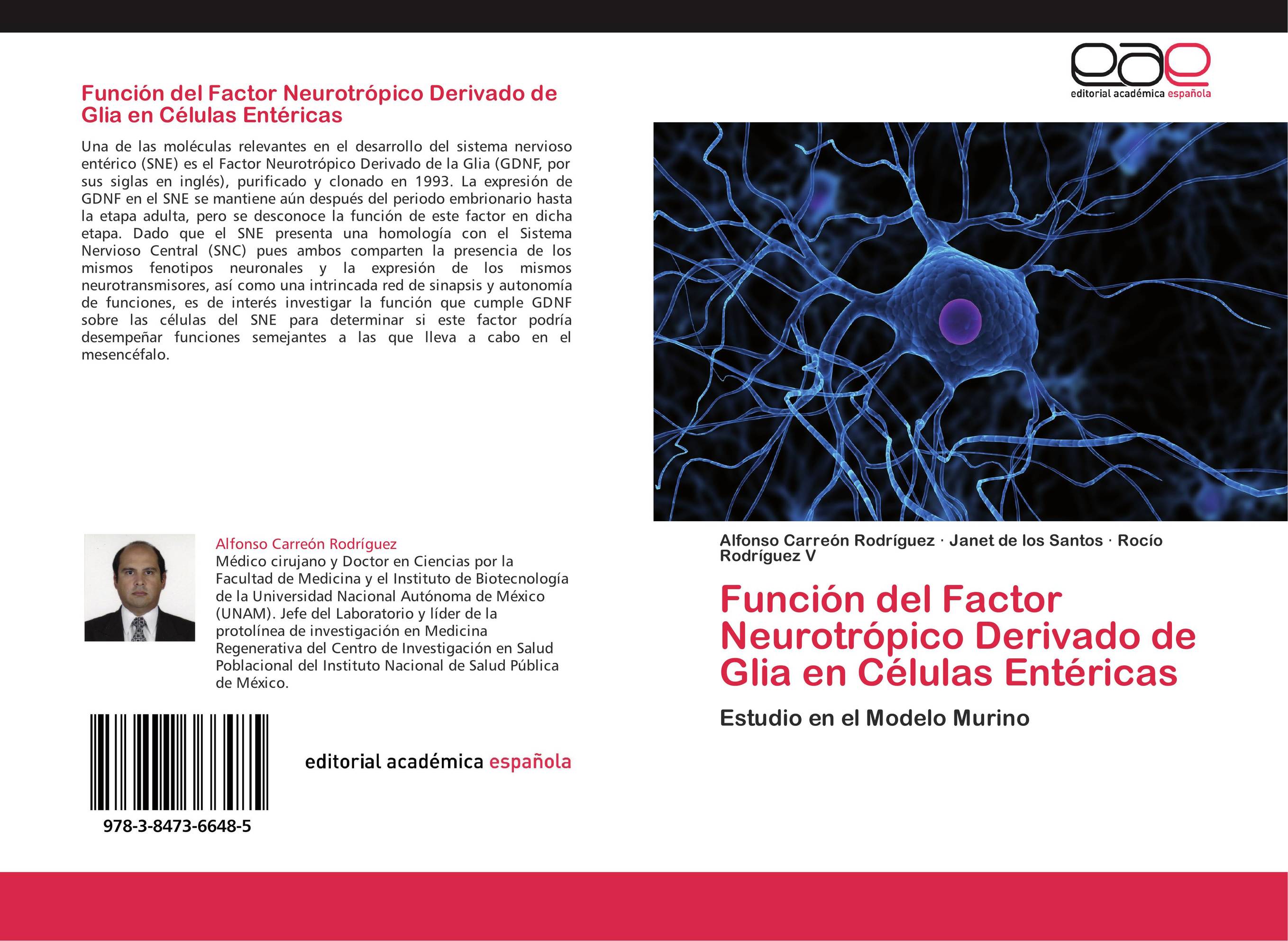 Función del Factor Neurotrópico Derivado de Glia en Células Entéricas