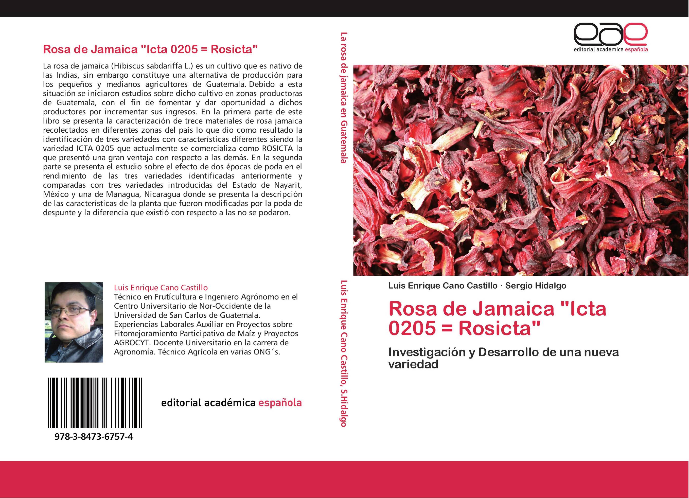Rosa de Jamaica "Icta 0205 = Rosicta"