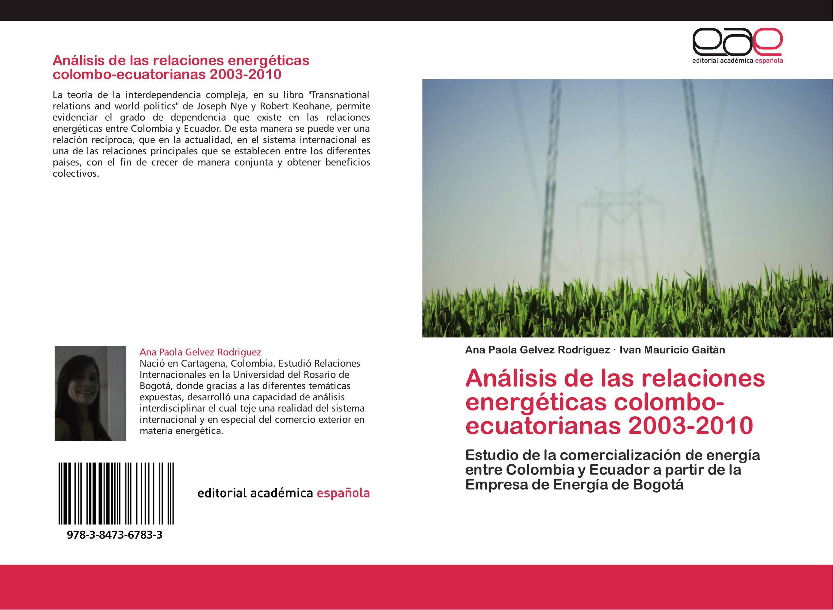 Análisis de las relaciones energéticas colombo-ecuatorianas 2003-2010