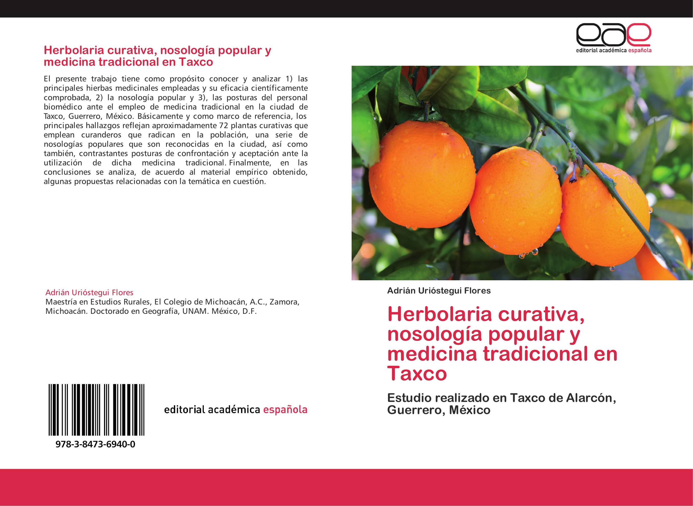Herbolaria curativa, nosología popular y medicina tradicional en Taxco