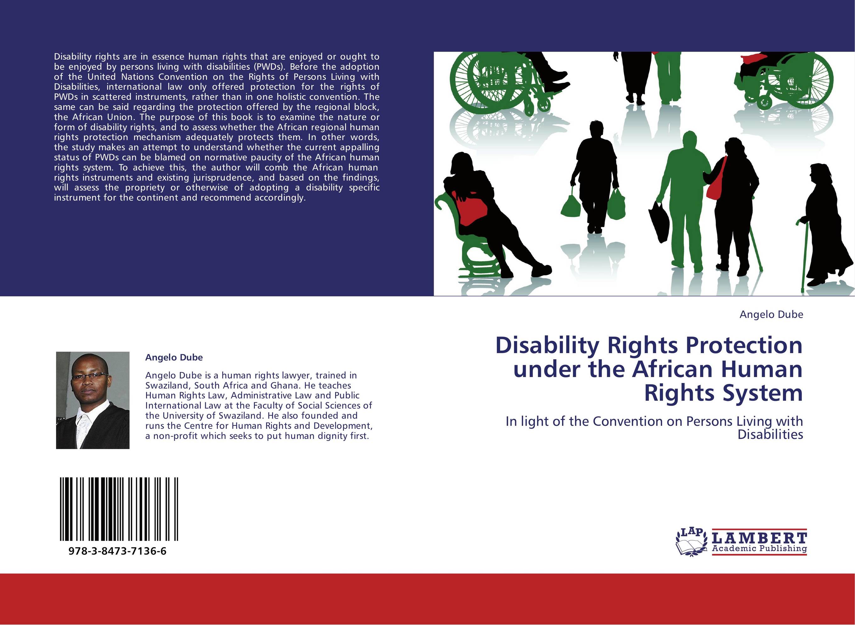 Disability Rights Protection under the African Human Rights System. In light of the Convention on Persons Living with Disabilities.