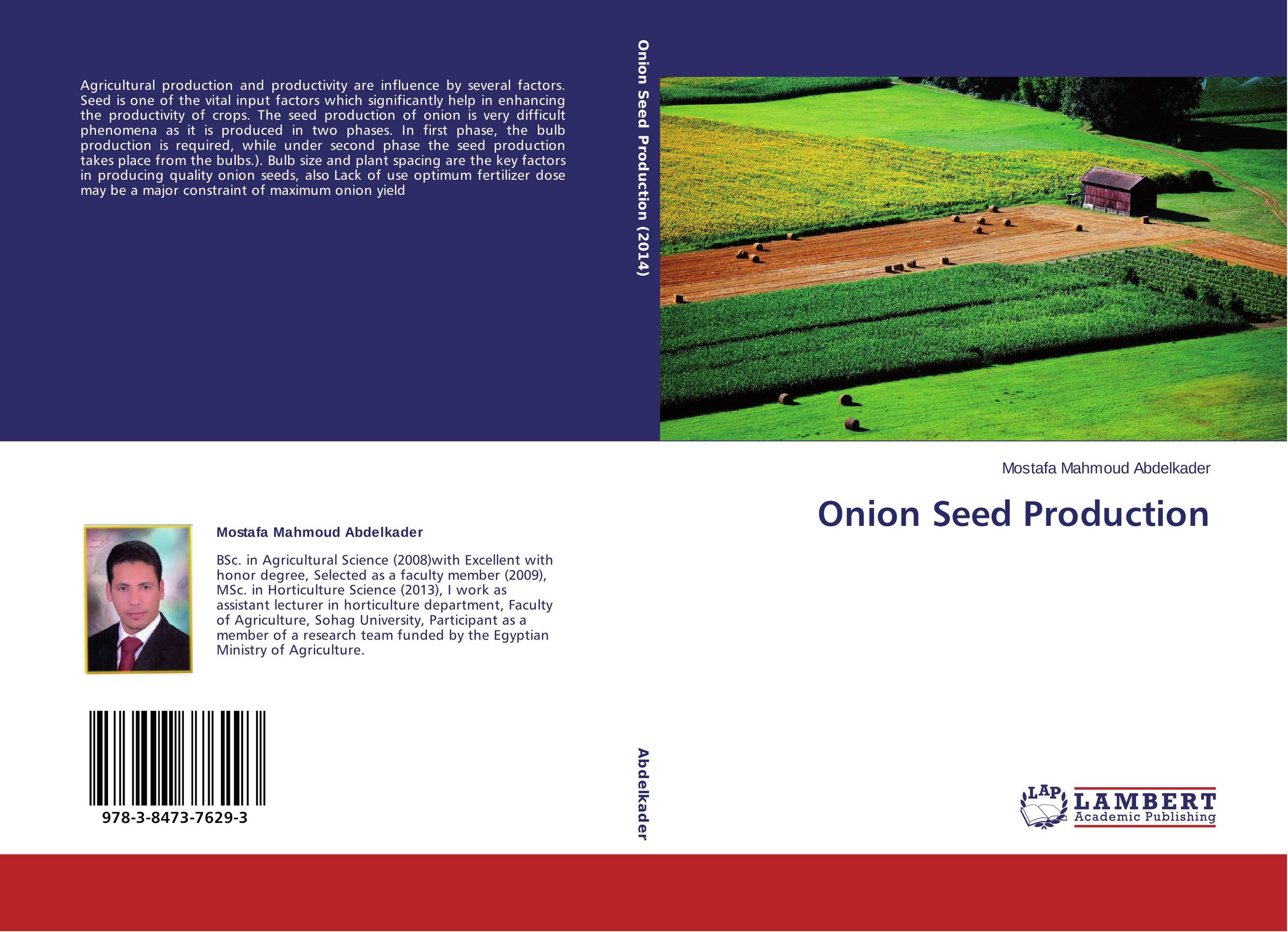 Onion Seed Production..