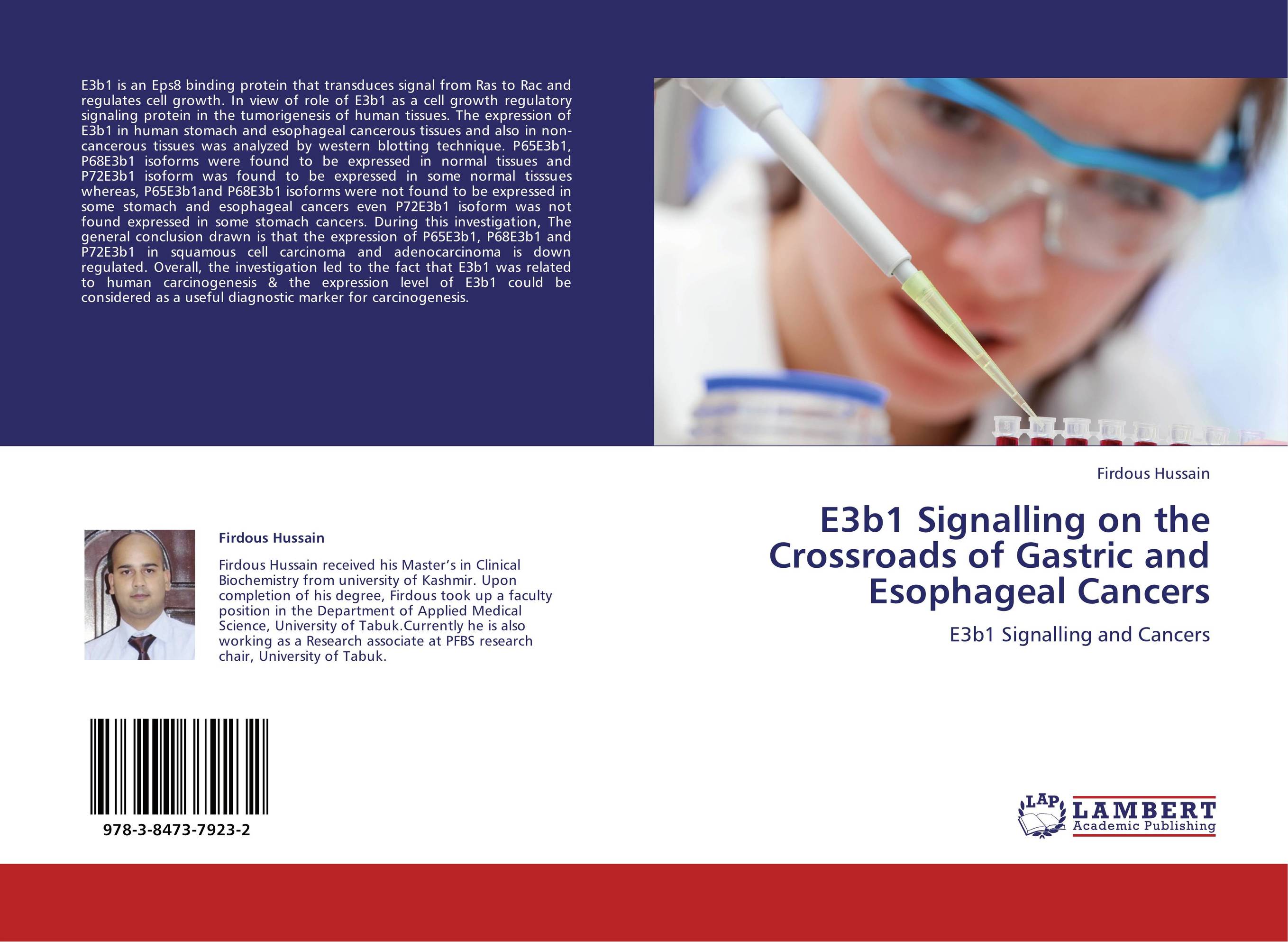 E3b1 Signalling on the Crossroads of Gastric and Esophageal Cancers. E3b1 Signalling and Cancers.
