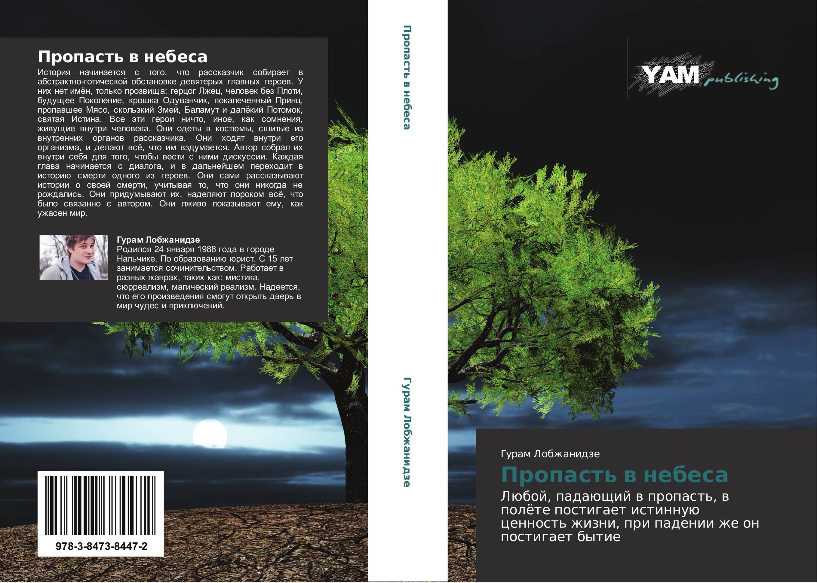 Пропасть в небеса. Любой, падающий в пропасть, в полёте постигает истинную ценность жизни, при падении же он постигает бытие.