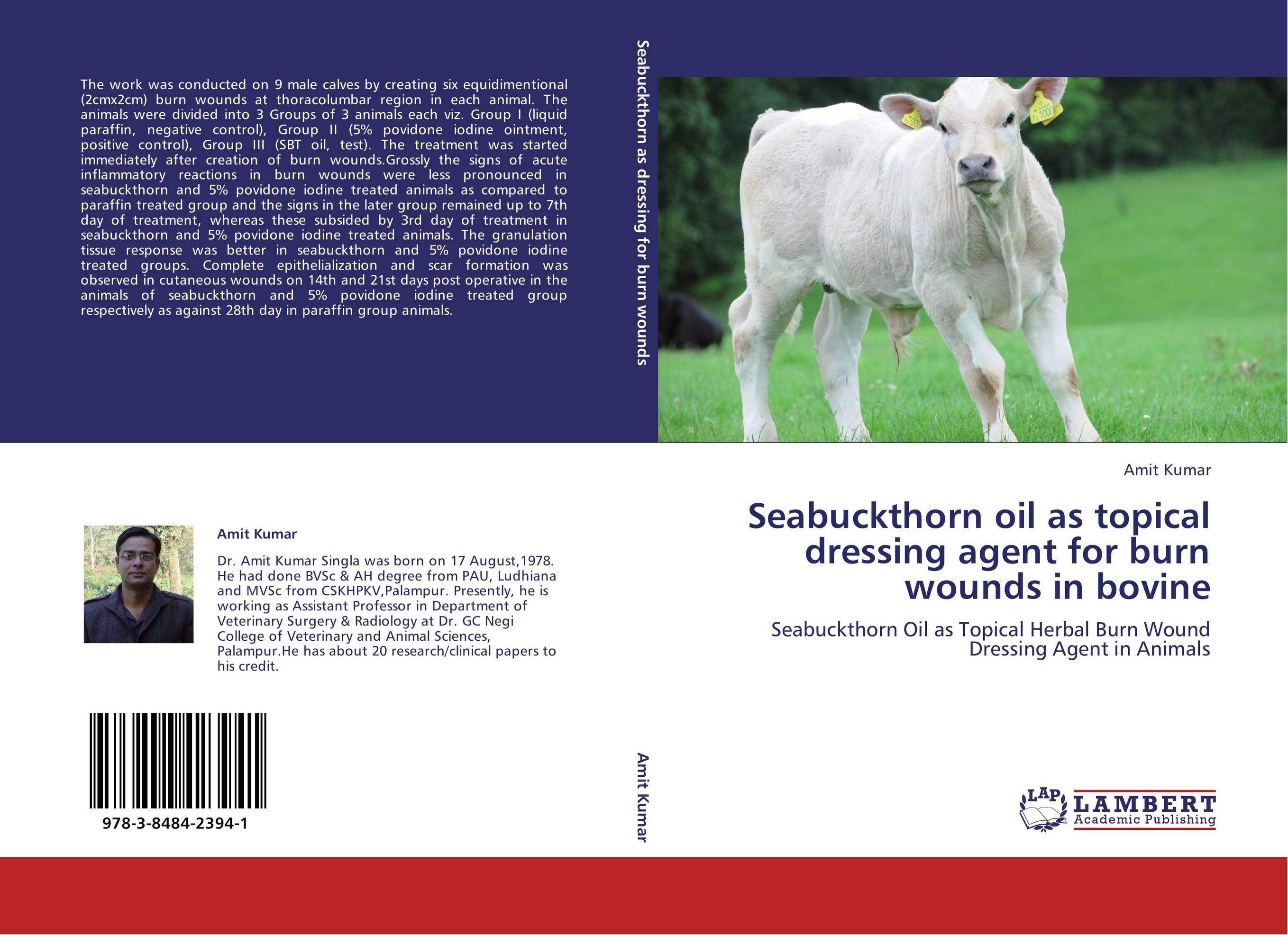 Seabuckthorn oil as topical dressing agent for burn wounds in bovine. Seabuckthorn Oil as Topical Herbal Burn Wound Dressing Agent in Animals.