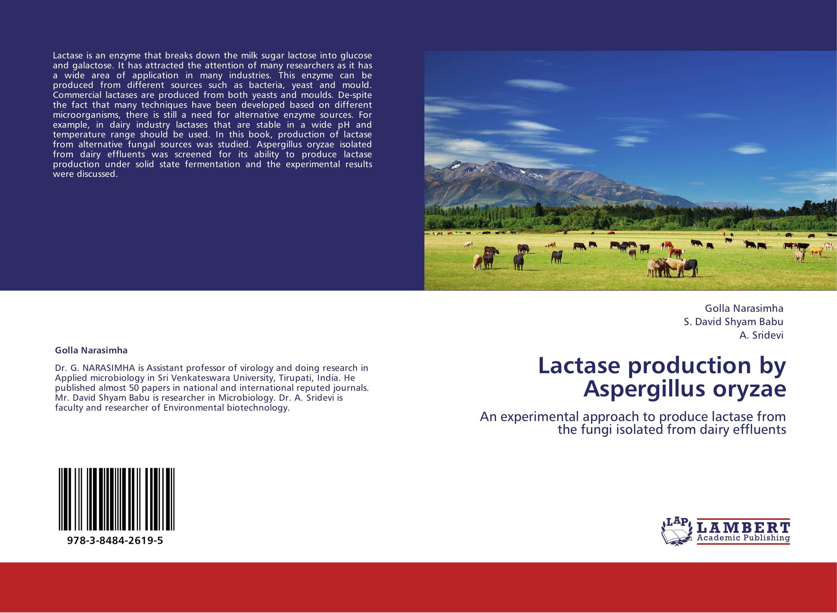 Lactase production by Aspergillus oryzae. An experimental approach to produce lactase from the fungi isolated from dairy effluents.