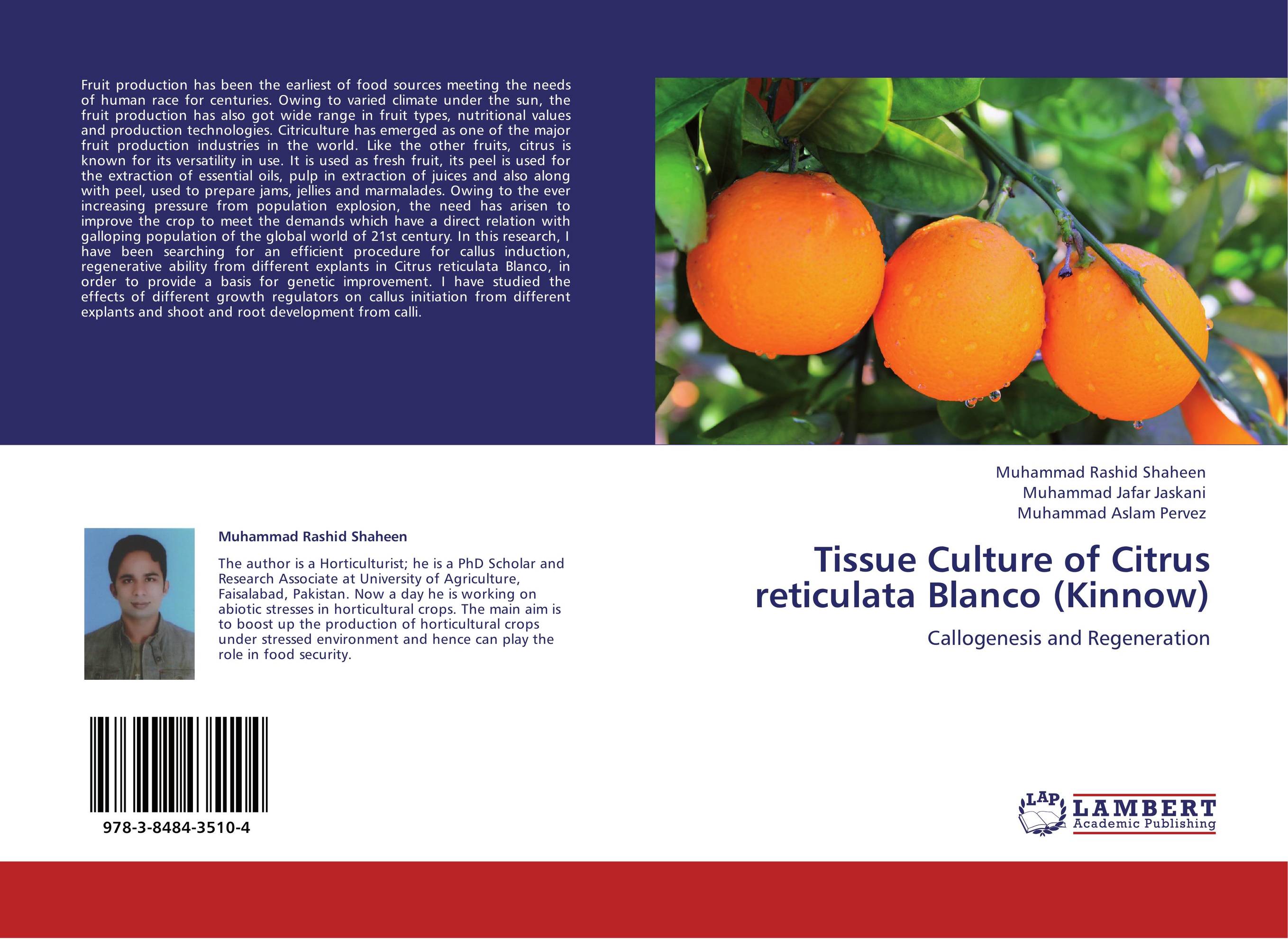 Tissue Culture of Citrus reticulata Blanco (Kinnow). Callogenesis and Regeneration.
