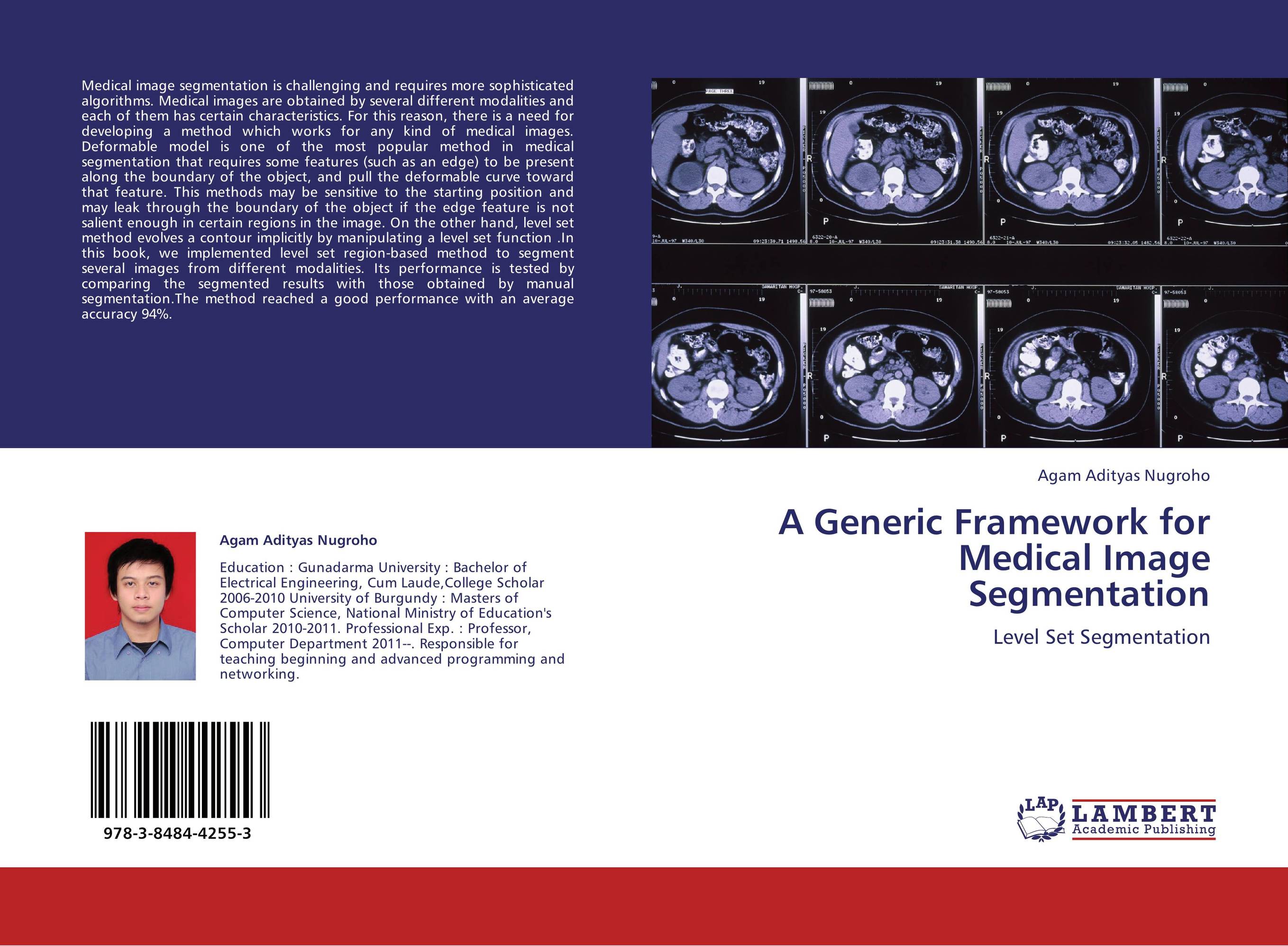 A Generic Framework for Medical Image Segmentation. Level Set Segmentation.