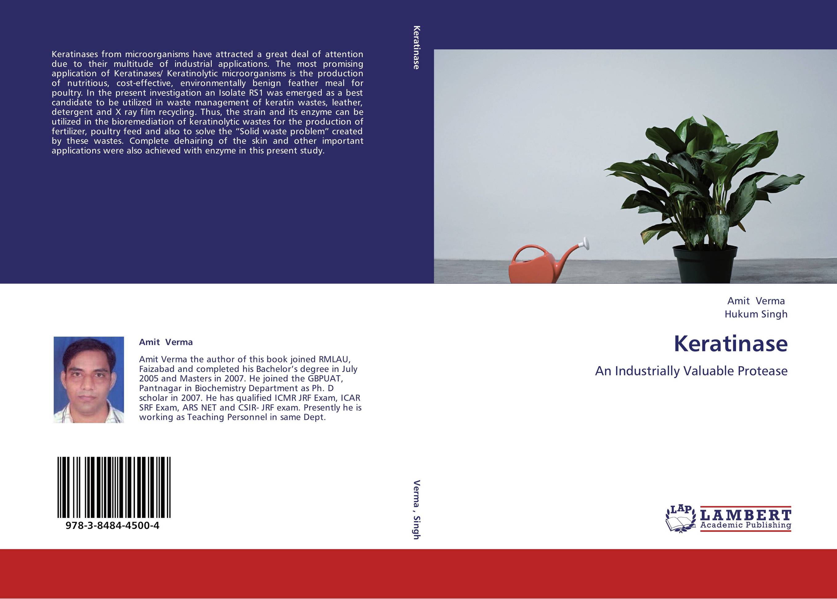 Keratinase. An Industrially Valuable Protease.