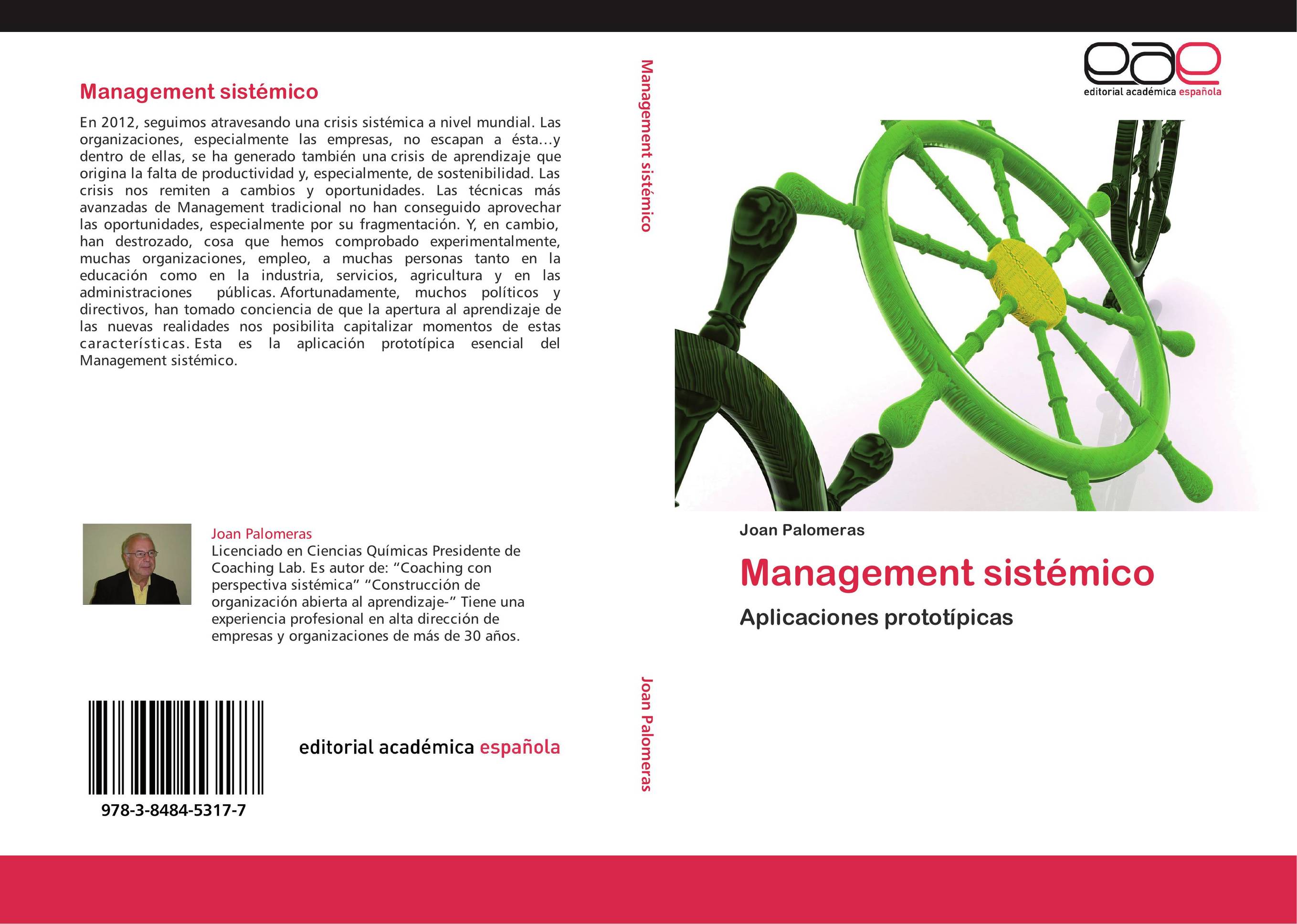 Management sistémico