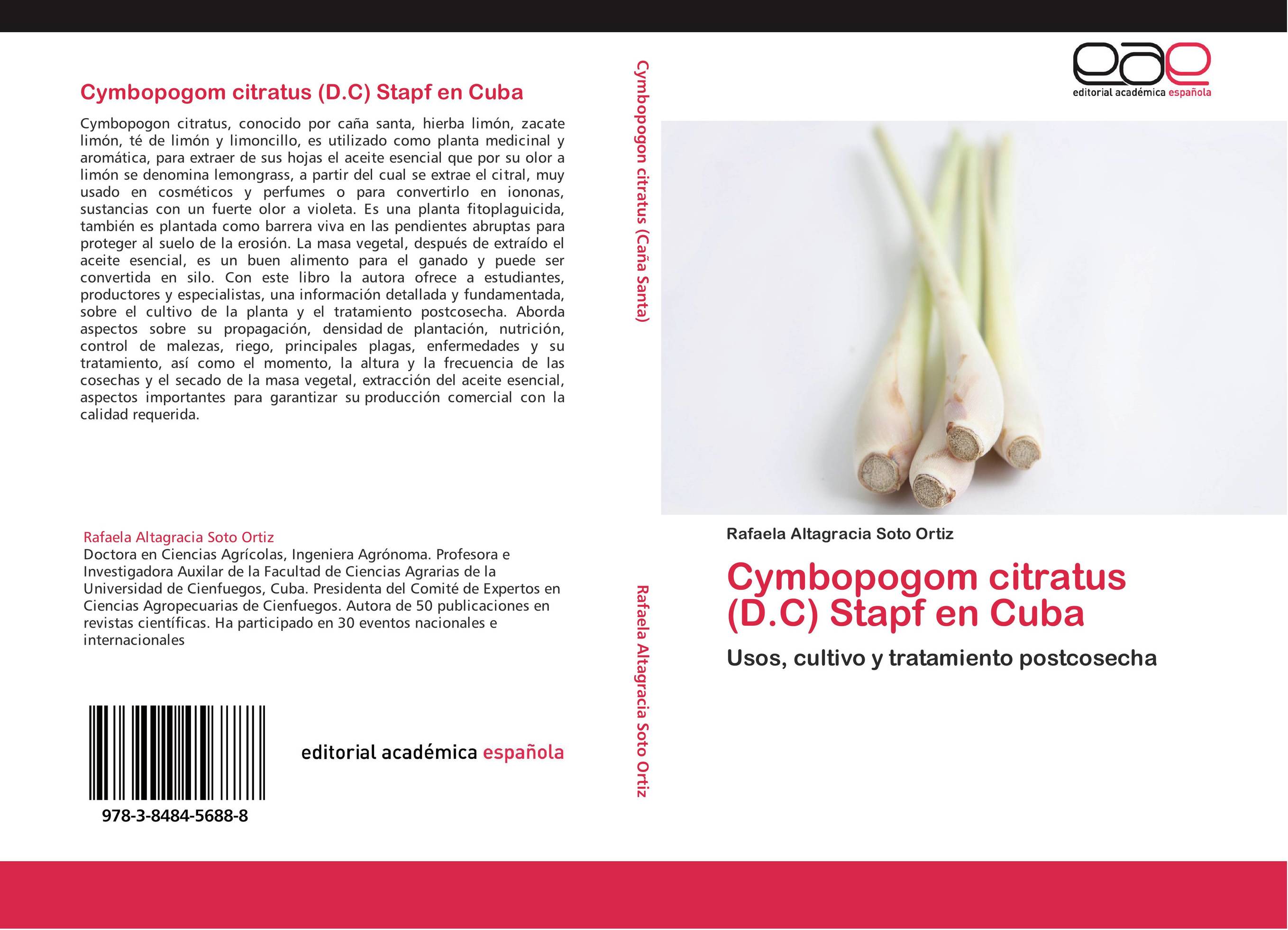 Cymbopogom citratus (D.C) Stapf en Cuba