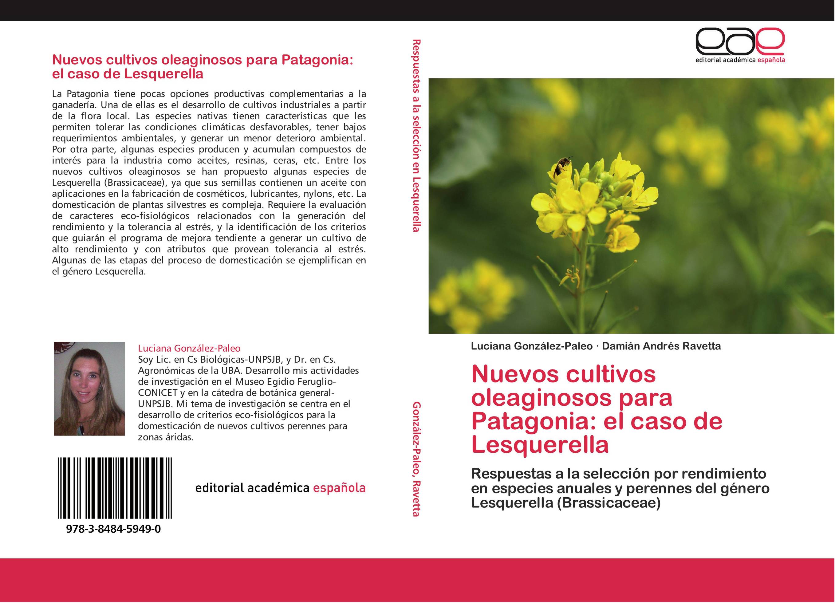Nuevos cultivos oleaginosos para Patagonia: el caso de Lesquerella