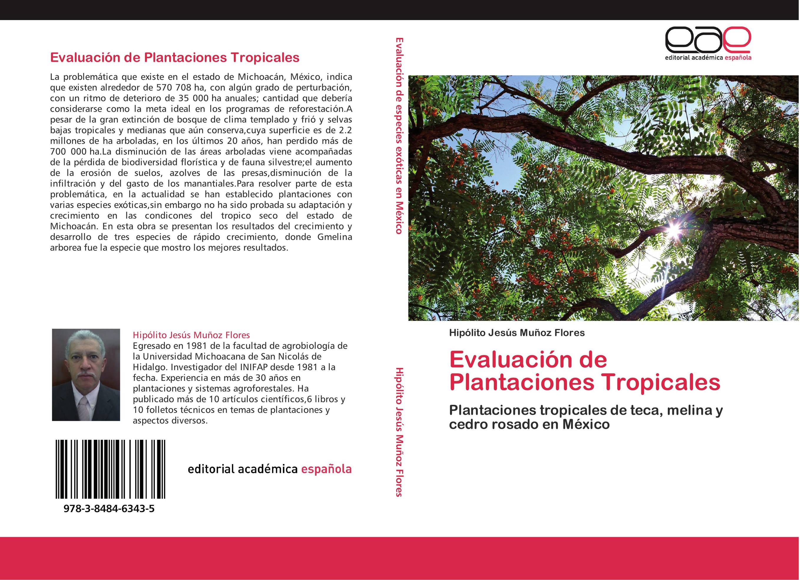 Evaluación de Plantaciones Tropicales