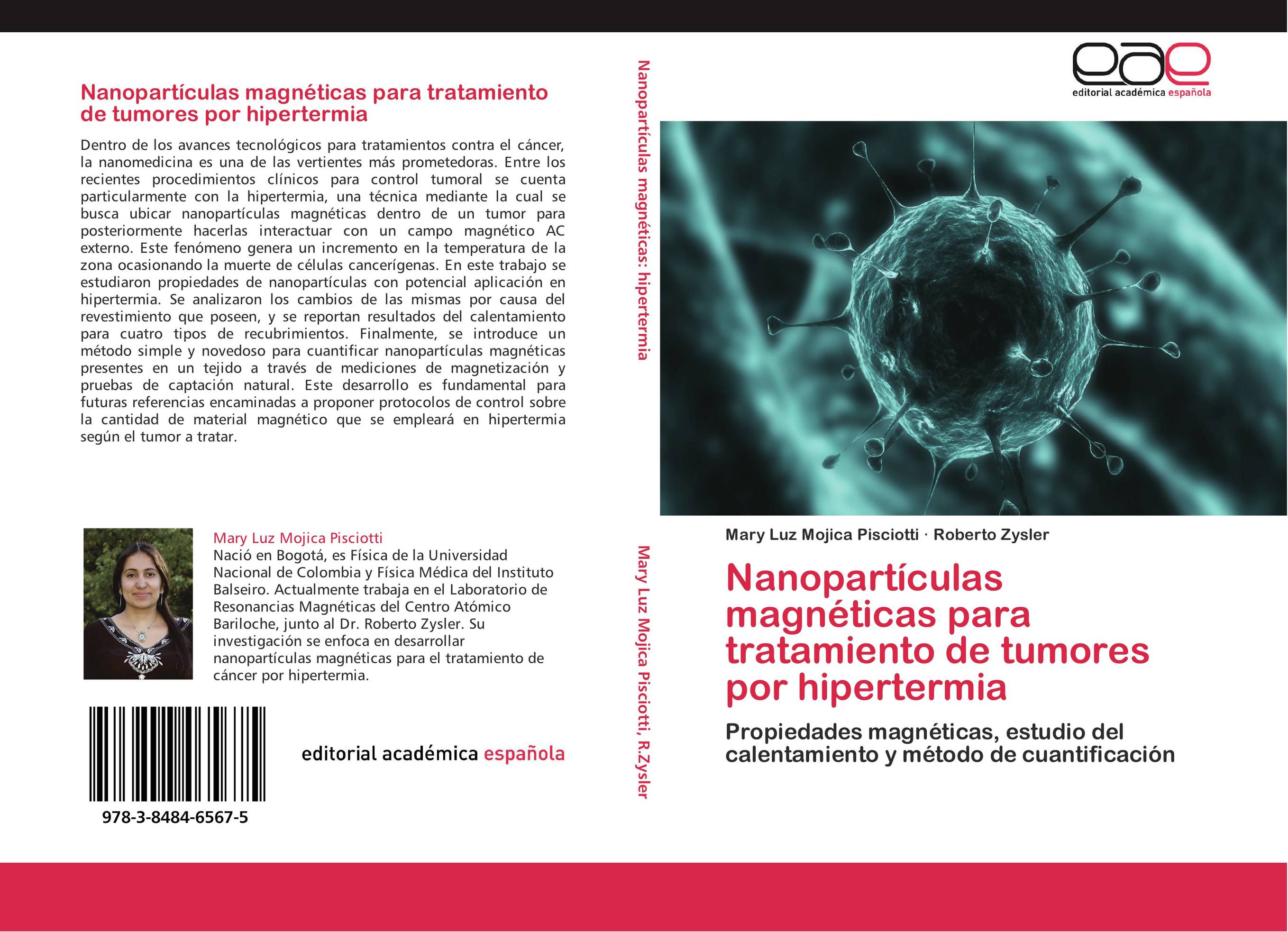 Nanopartículas magnéticas para tratamiento de tumores por hipertermia