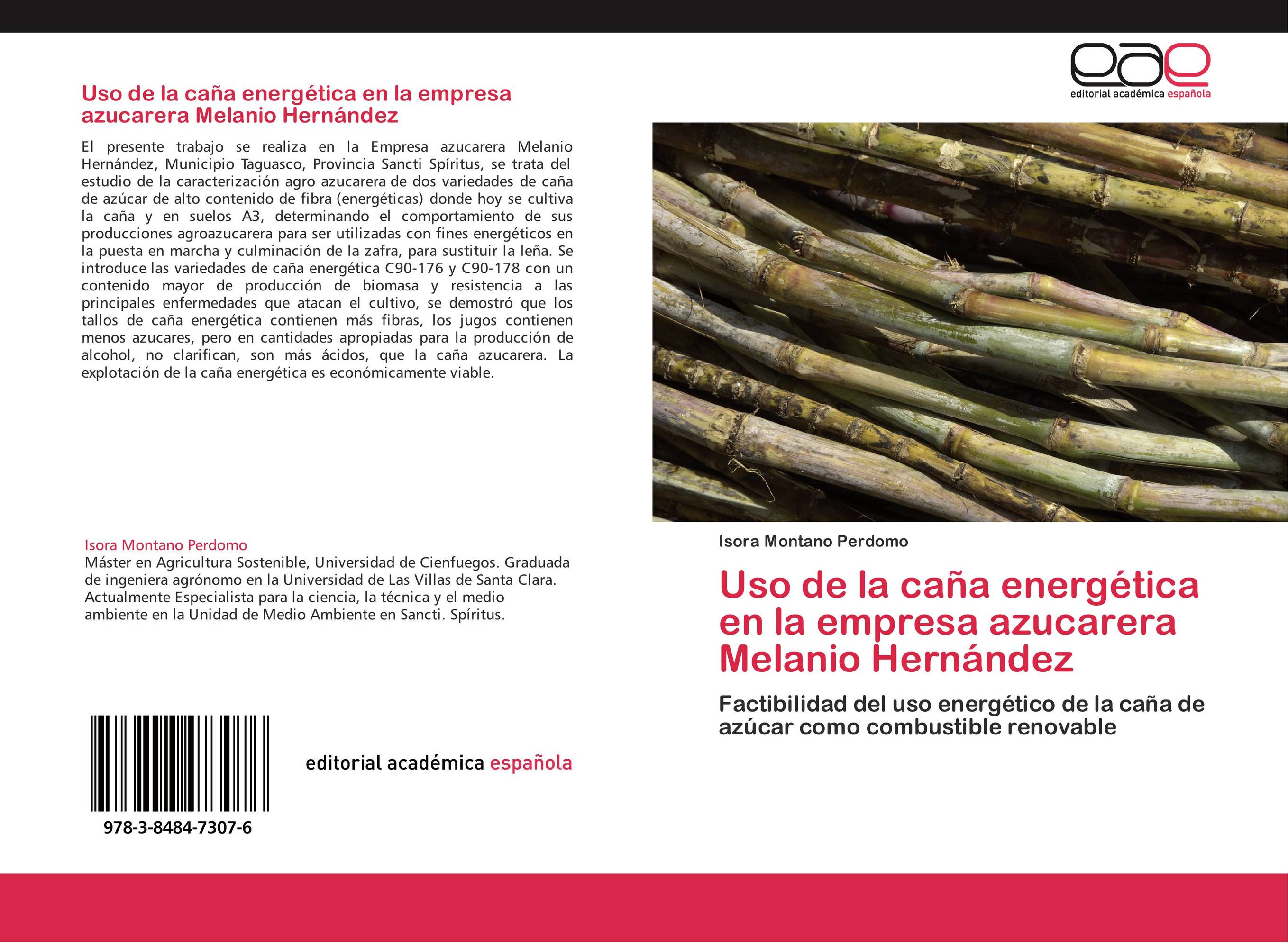 Uso de la caña energética en la empresa azucarera Melanio Hernández