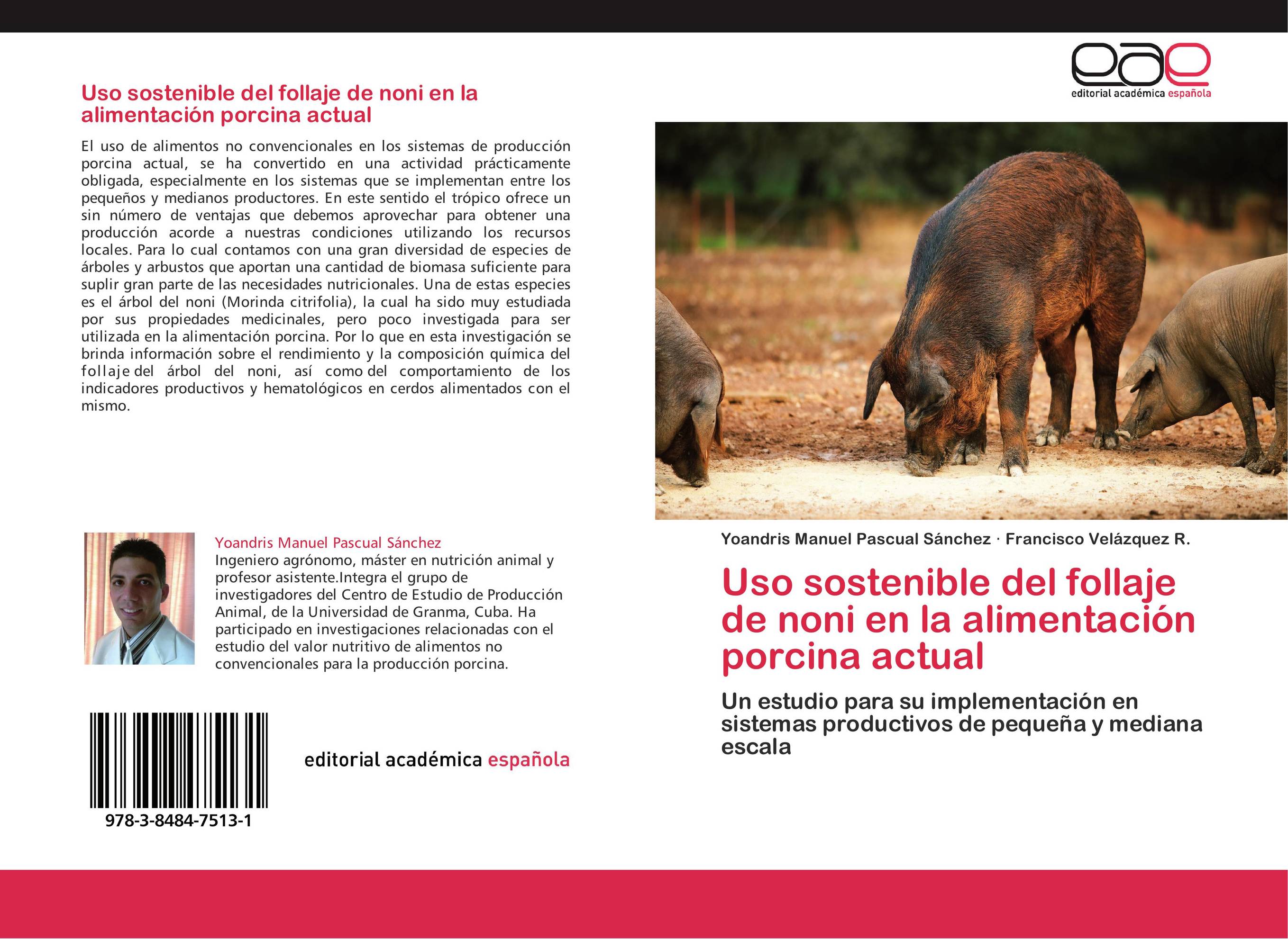 Uso sostenible del follaje de noni en la alimentación porcina actual