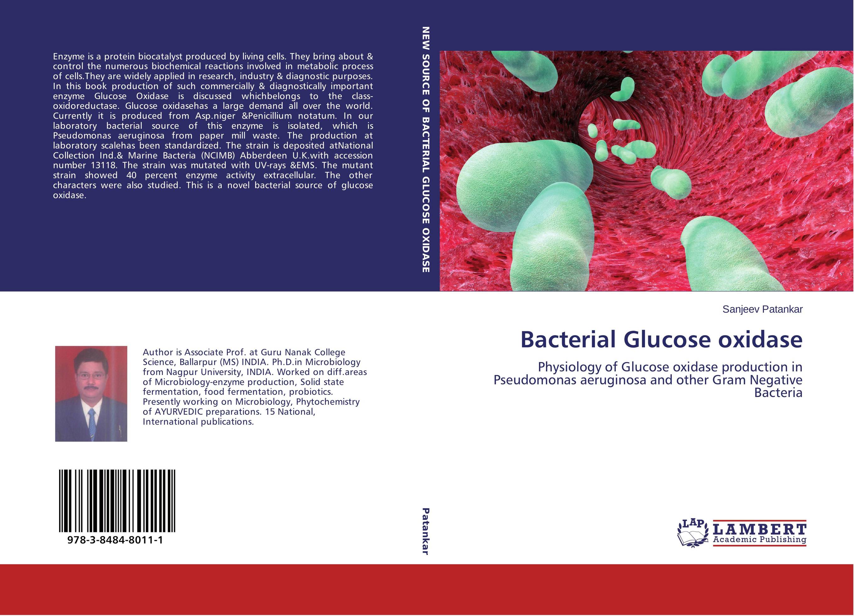 Bacterial Glucose oxidase. Physiology of Glucose oxidase production in Pseudomonas aeruginosa and other Gram Negative Bacteria.