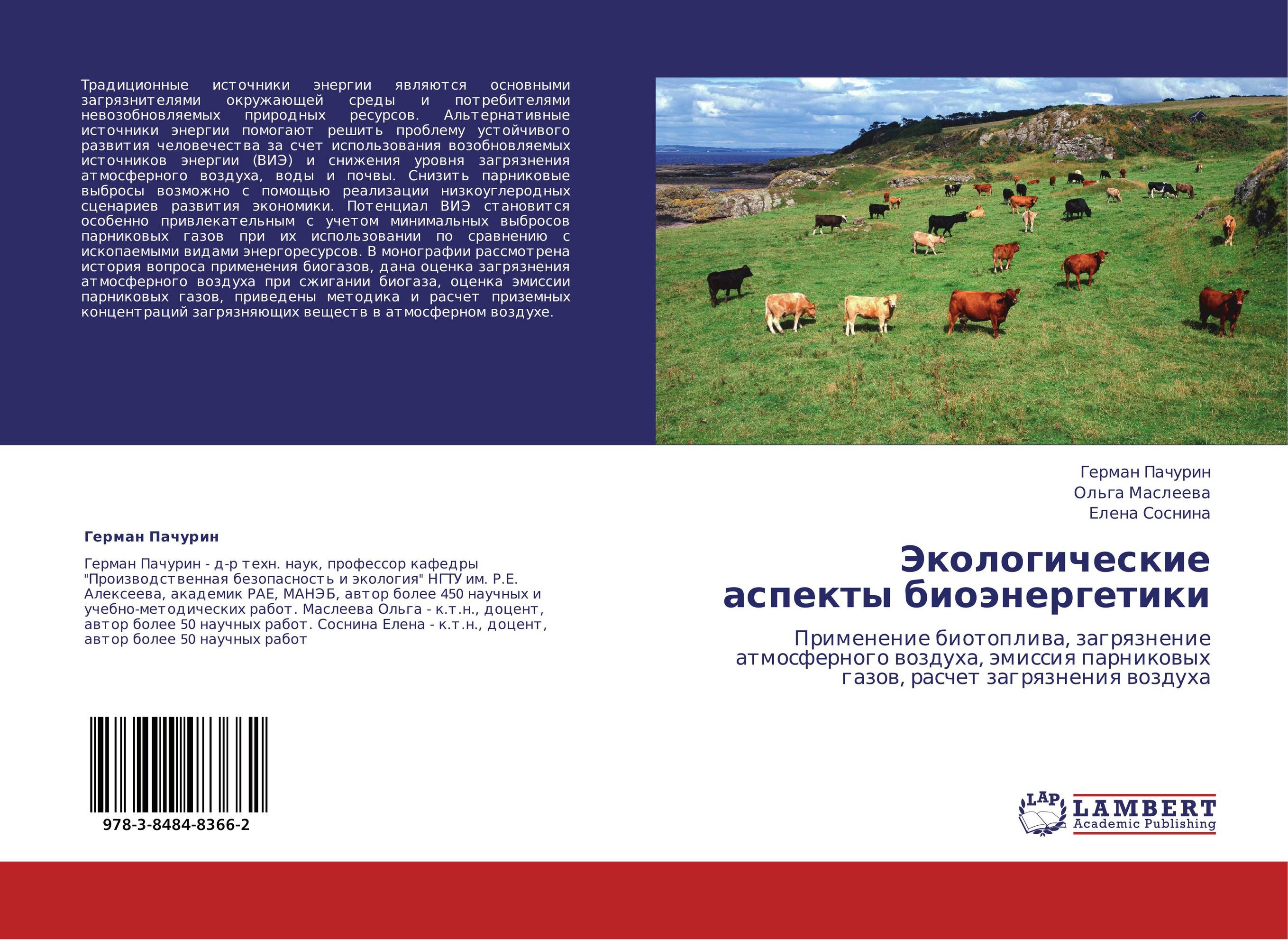 Экологические аспекты биоэнергетики. Применение биотоплива, загрязнение атмосферного воздуха, эмиссия парниковых газов, расчет загрязнения воздуха.