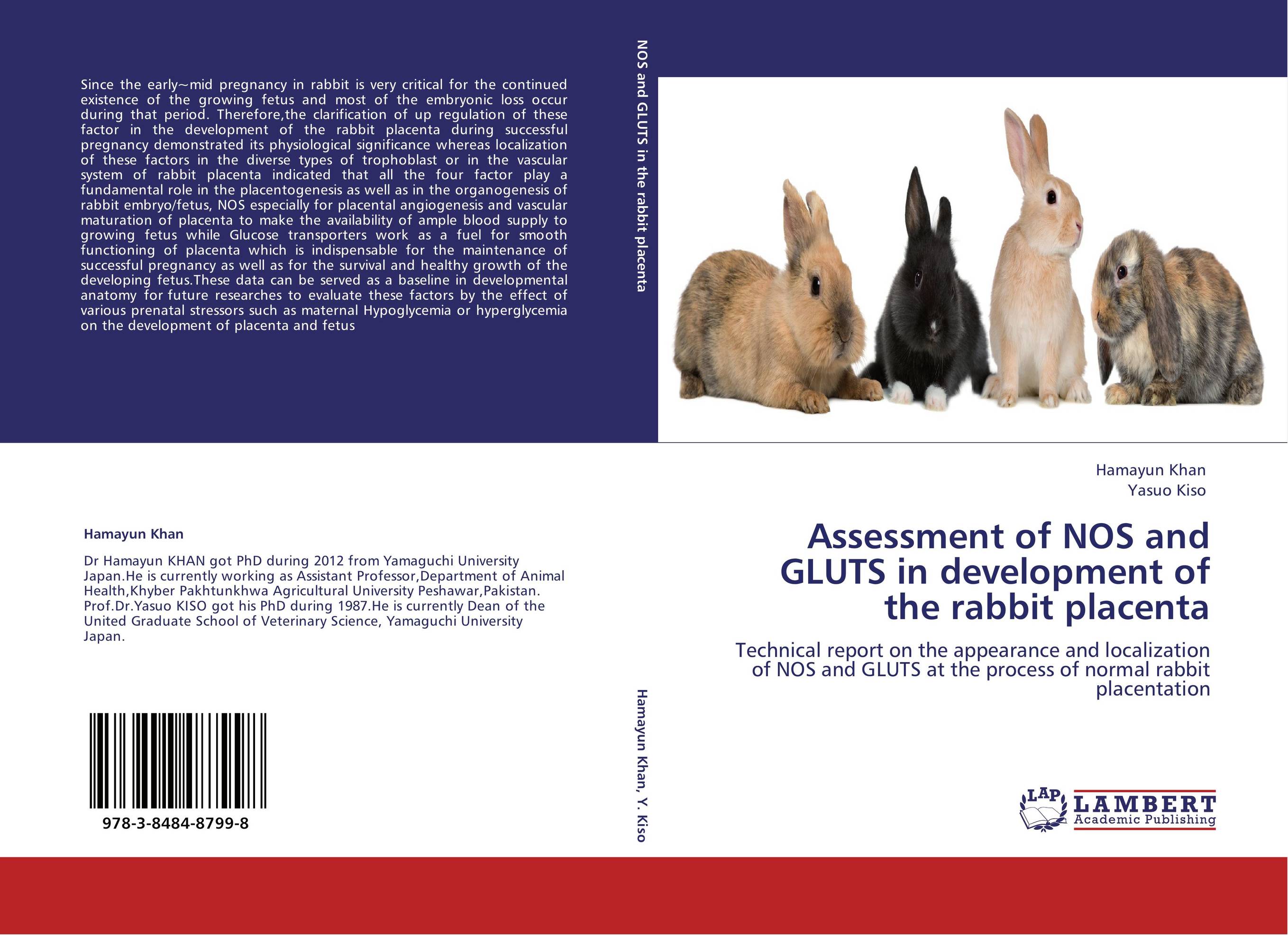 Assessment of NOS and  GLUTS in development of the rabbit placenta. Technical report on the appearance and localization of NOS and GLUTS at the process of normal rabbit placentation.