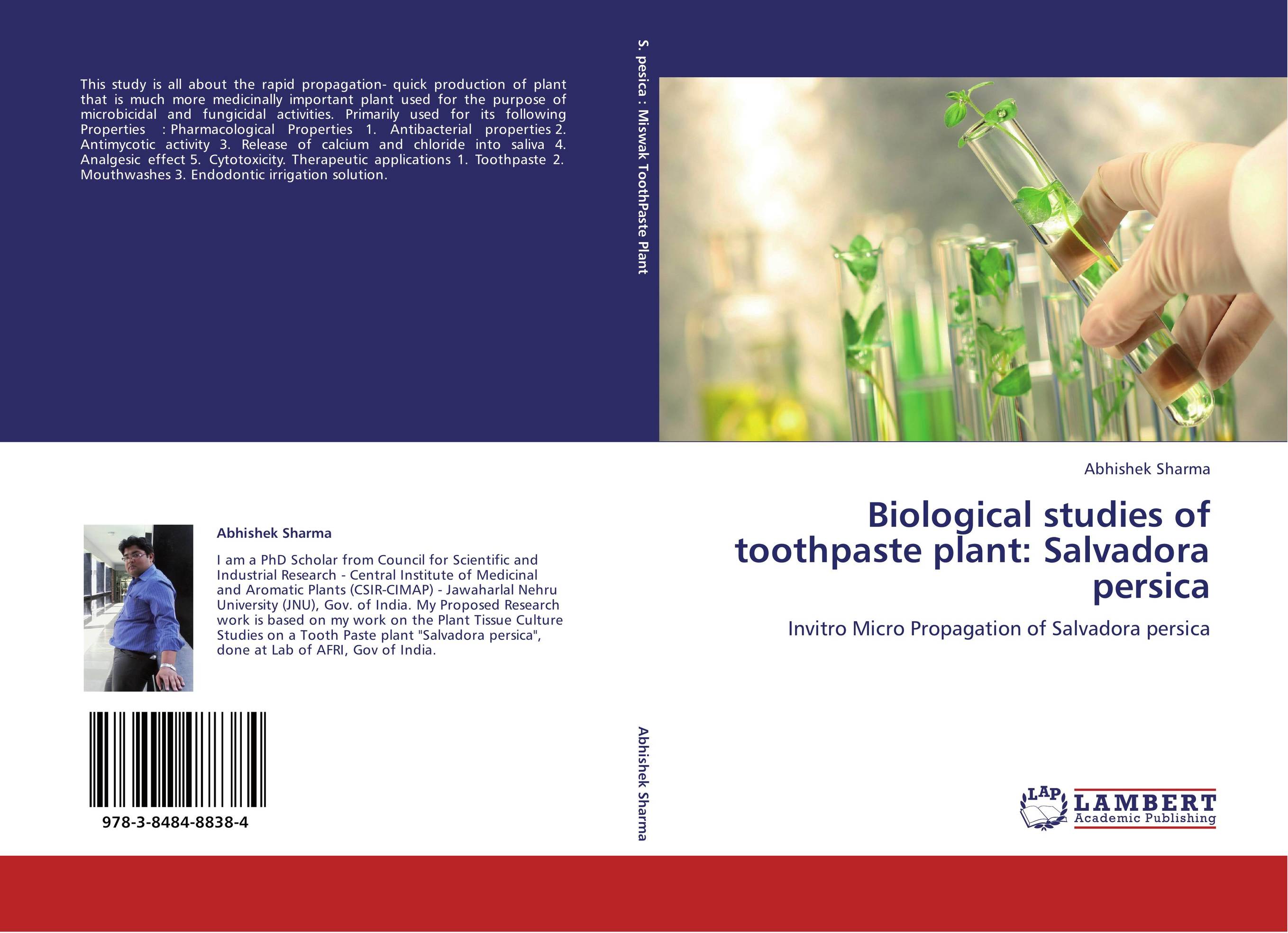 Biological studies of toothpaste plant: Salvadora persica. Invitro Micro Propagation of Salvadora persica.