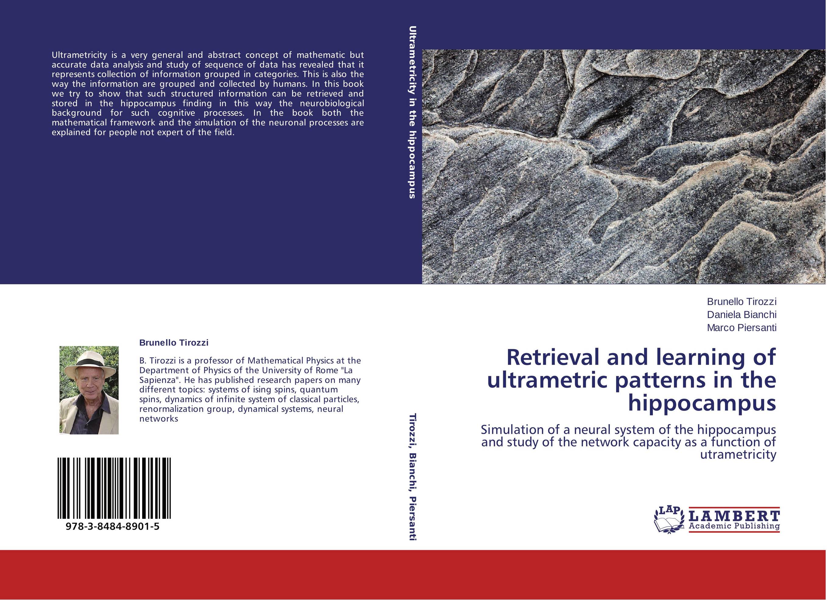Retrieval and learning of ultrametric patterns in the hippocampus. Simulation of a neural system of the hippocampus and study of the network capacity as a function of utrametricity.