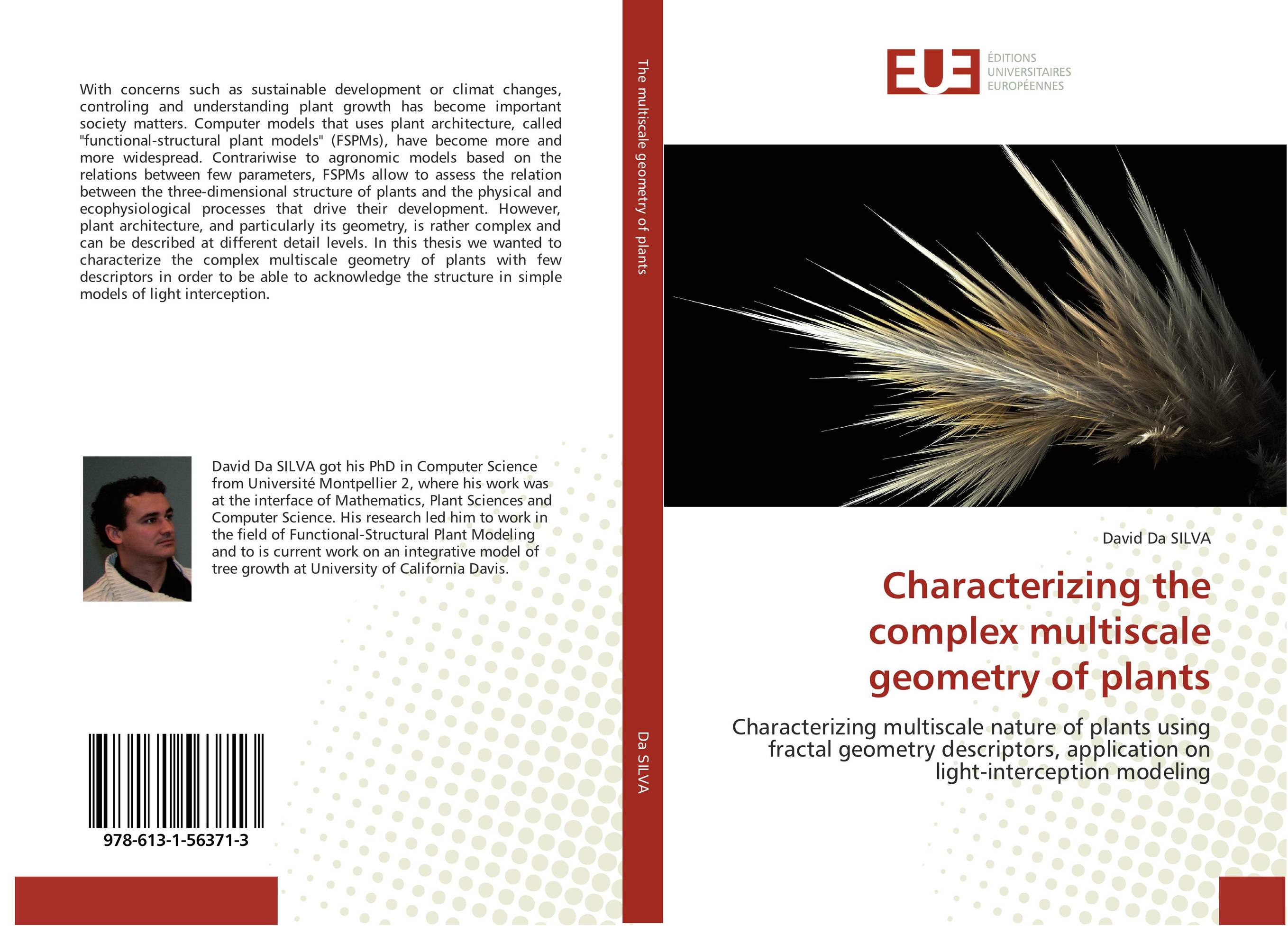 Characterizing the complex multiscale geometry of plants. Characterizing multiscale nature of plants using  fractal geometry descriptors, application on  light-interception modeling.