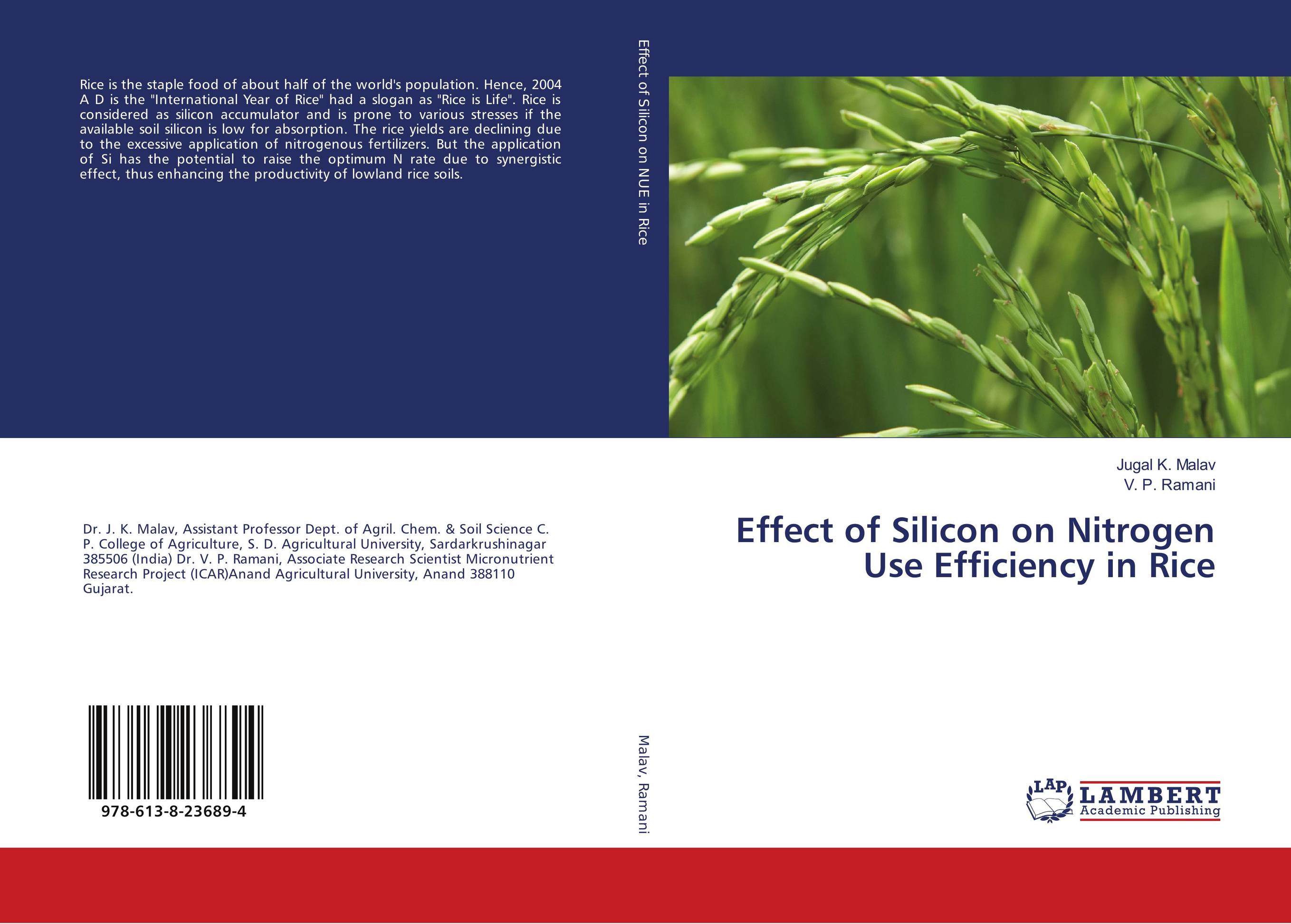 Effect of Silicon on Nitrogen Use Efficiency in Rice..