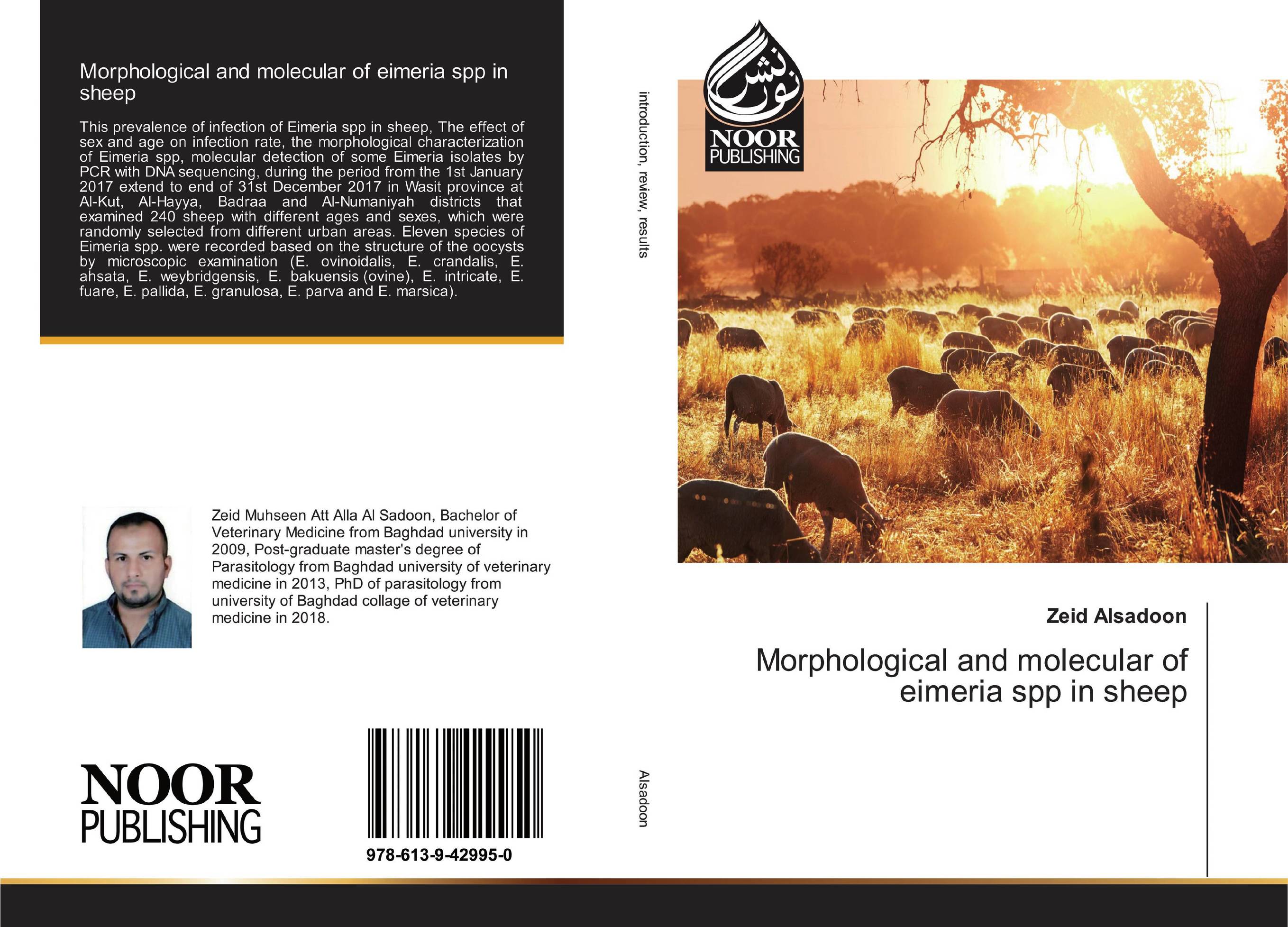 Morphological and molecular of eimeria spp in sheep..