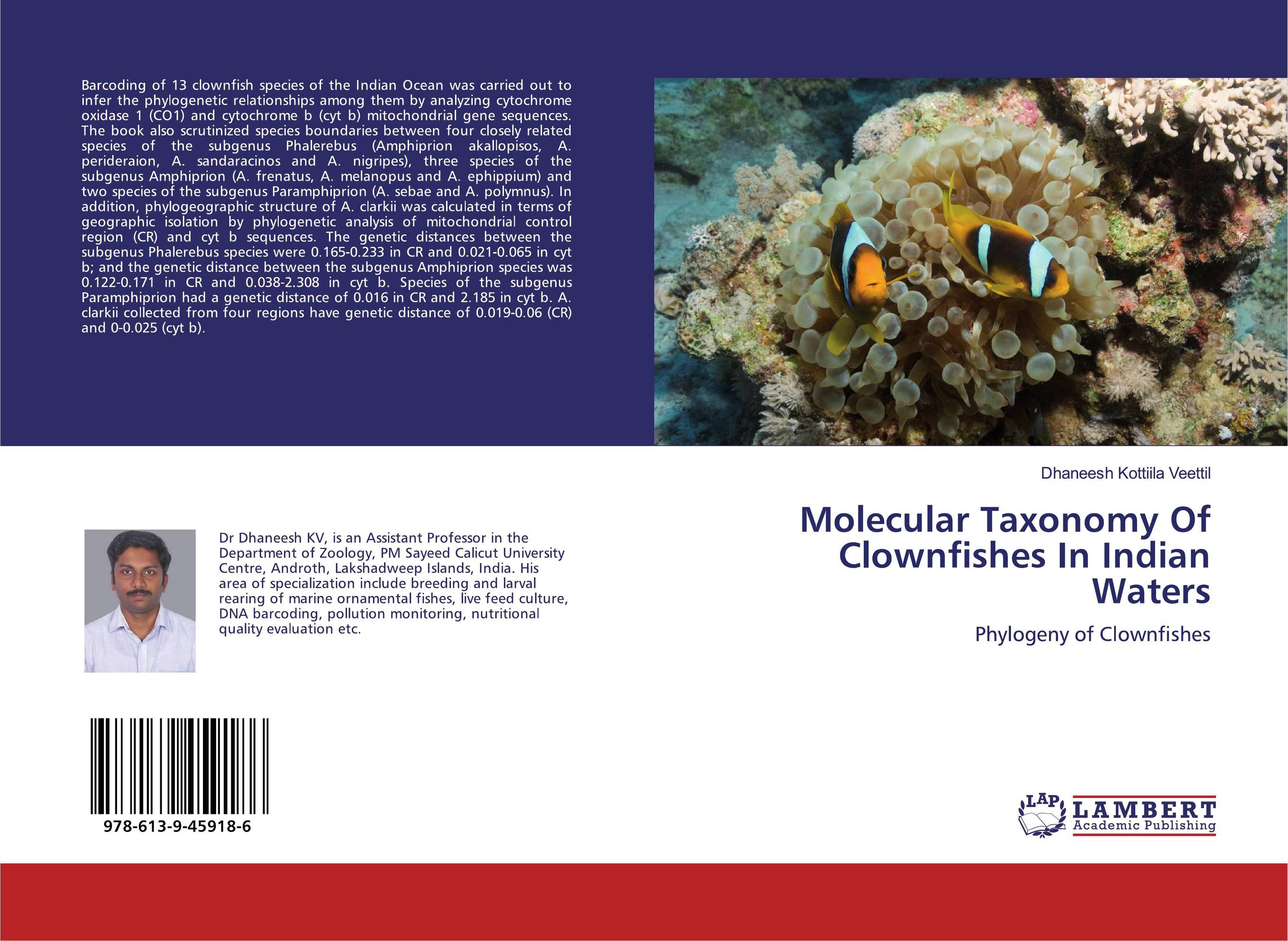 Molecular Taxonomy Of Clownfishes In Indian Waters. Phylogeny of Clownfishes.