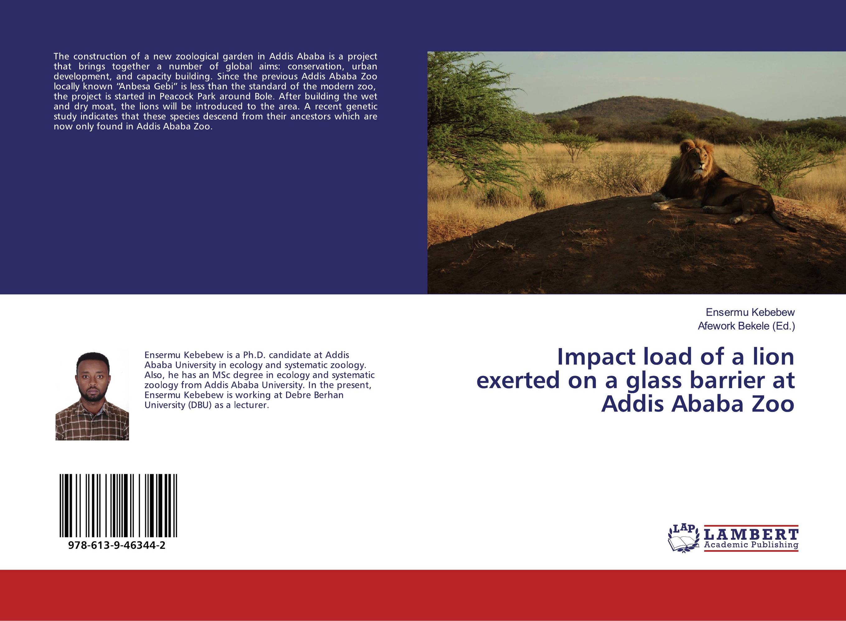 Impact load of a lion exerted on a glass barrier at Addis Ababa Zoo..