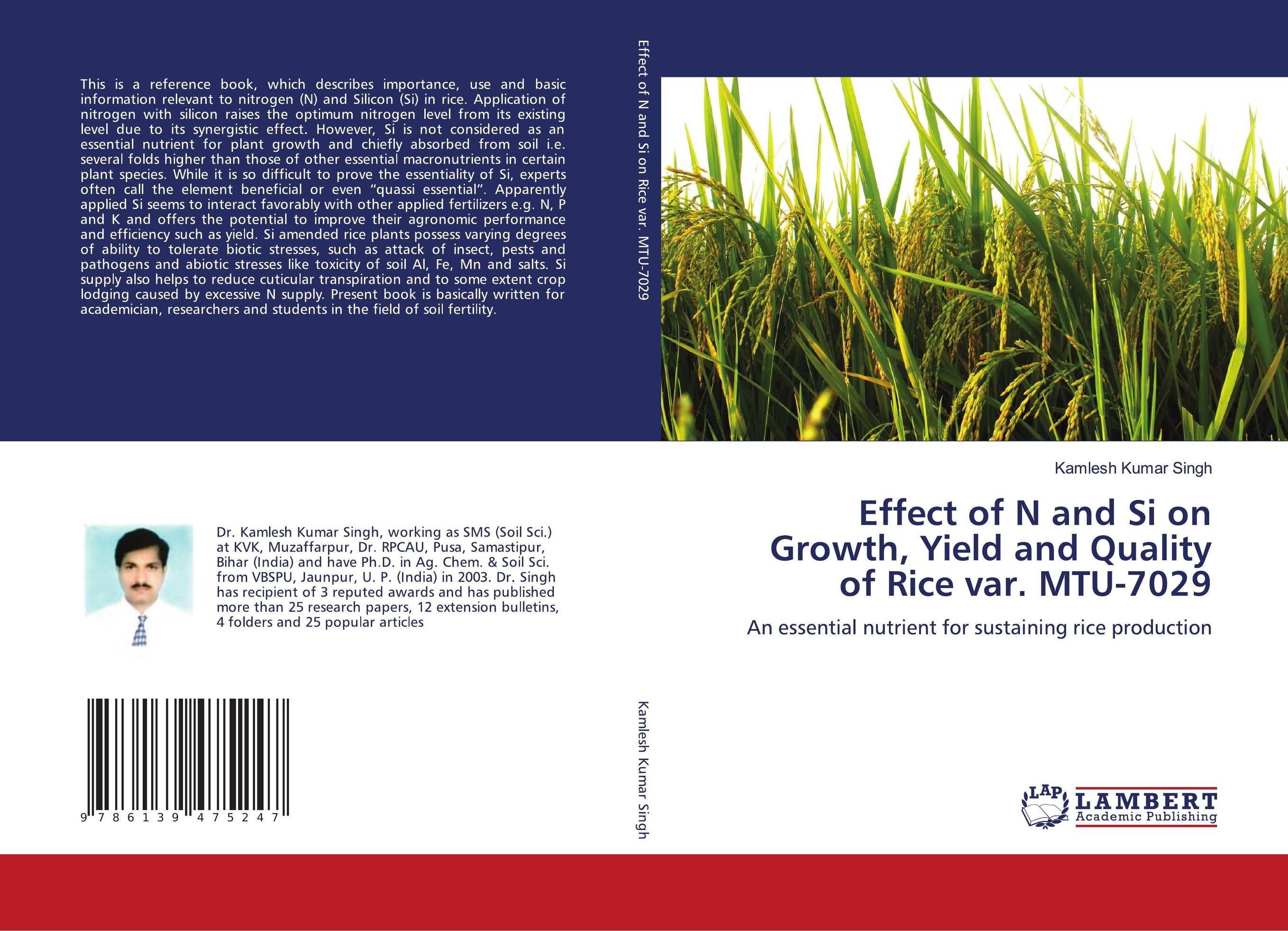 Effect of N and Si on Growth, Yield and Quality of Rice var. MTU-7029. An essential nutrient for sustaining rice production.