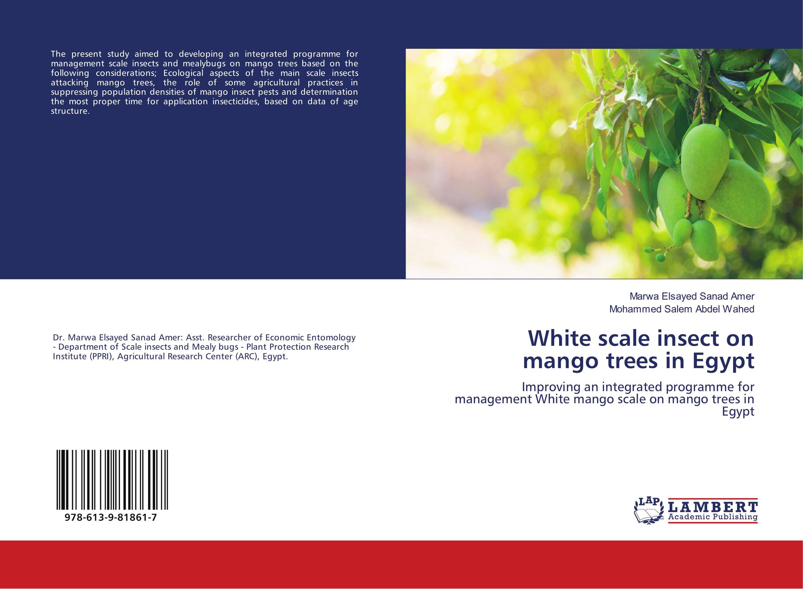 White scale insect on mango trees in Egypt. Improving an integrated programme for management White mango scale on mango trees in Egypt.