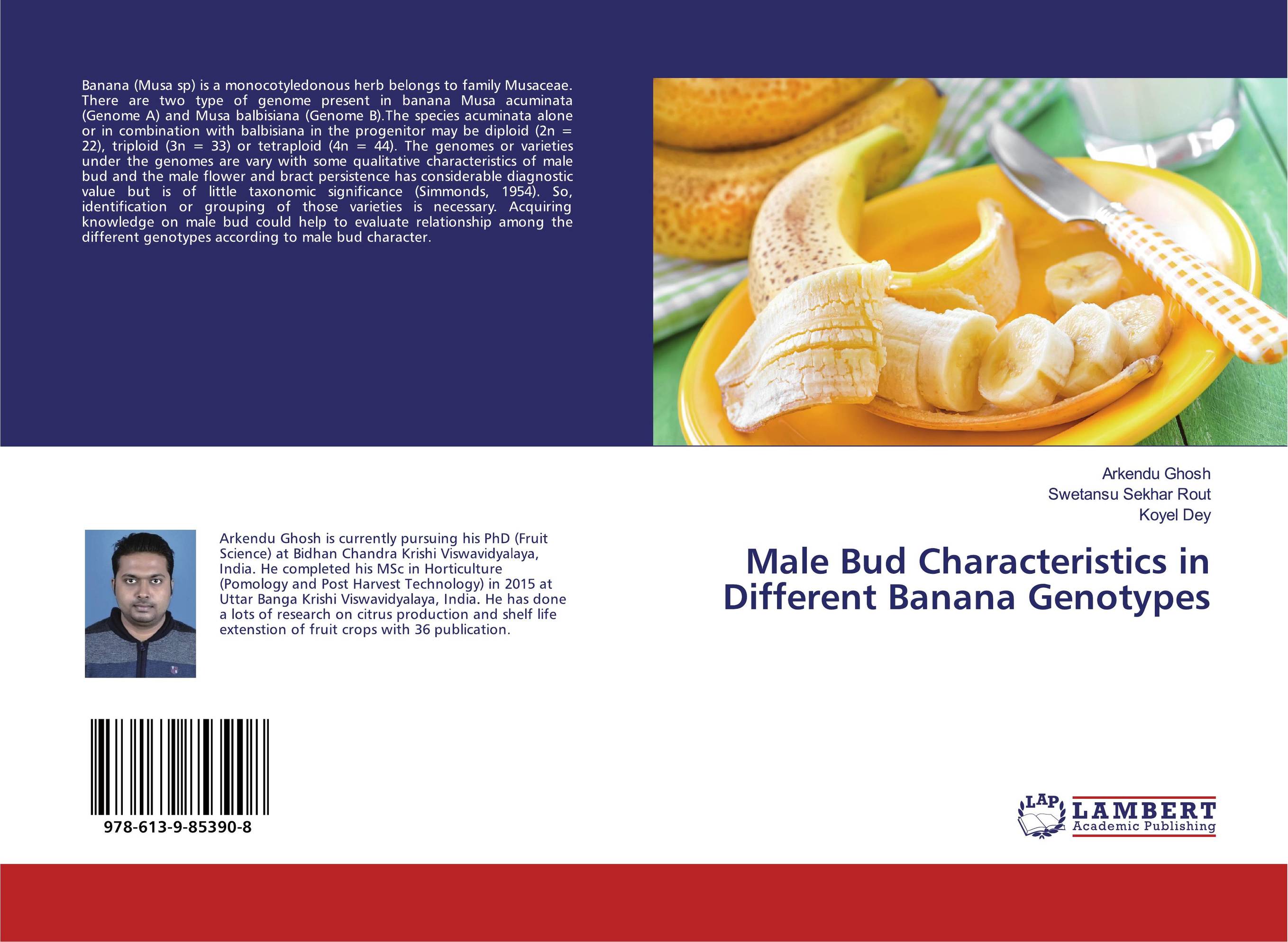 Male Bud Characteristics in Different Banana Genotypes..