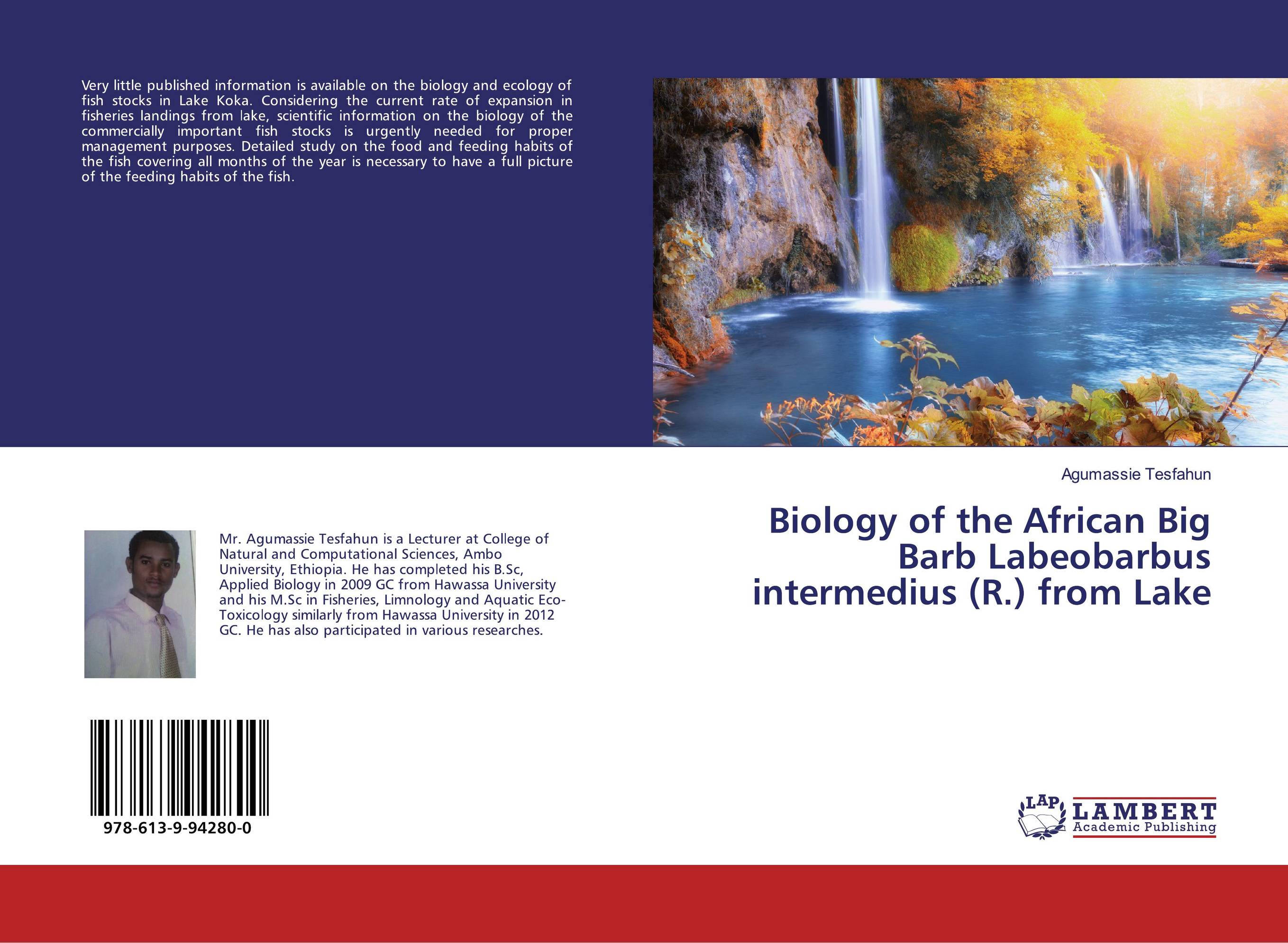 Biology of the African Big Barb Labeobarbus intermedius (R.) from Lake..