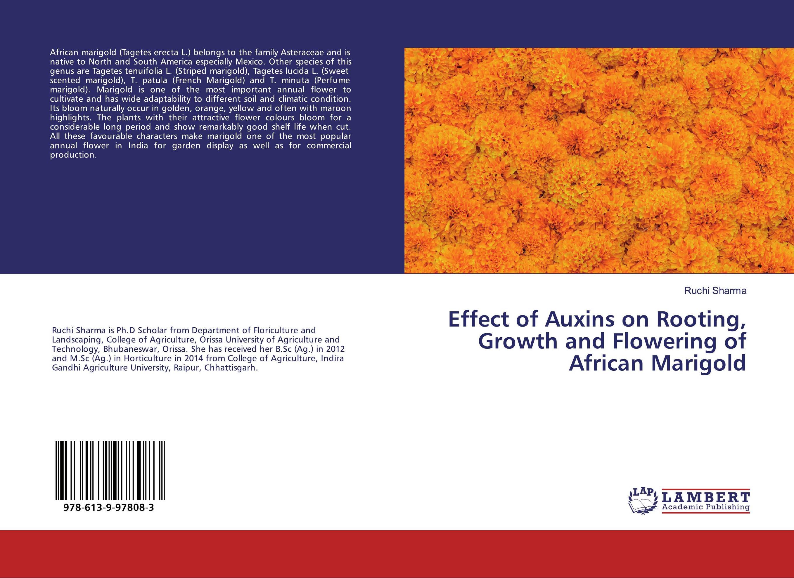Effect of Auxins on Rooting, Growth and Flowering of African Marigold..