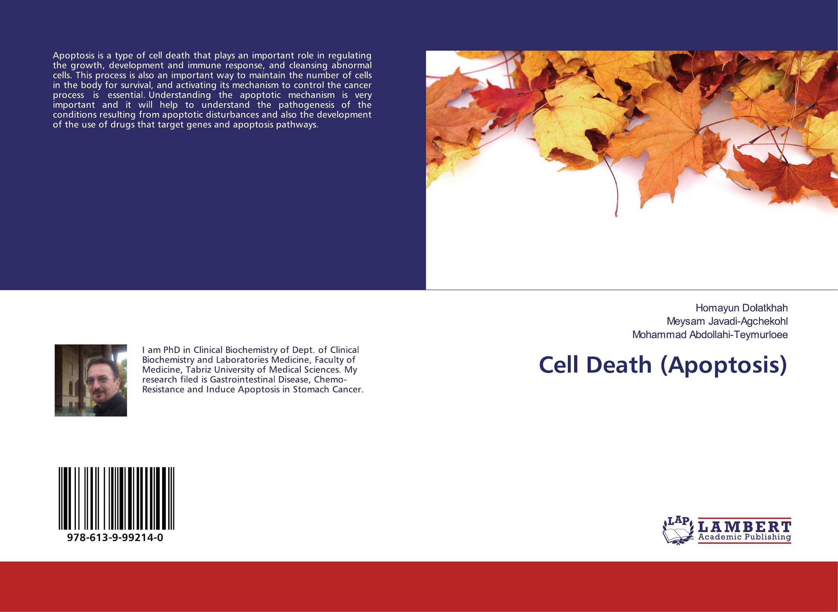 Cell Death (Apoptosis)..